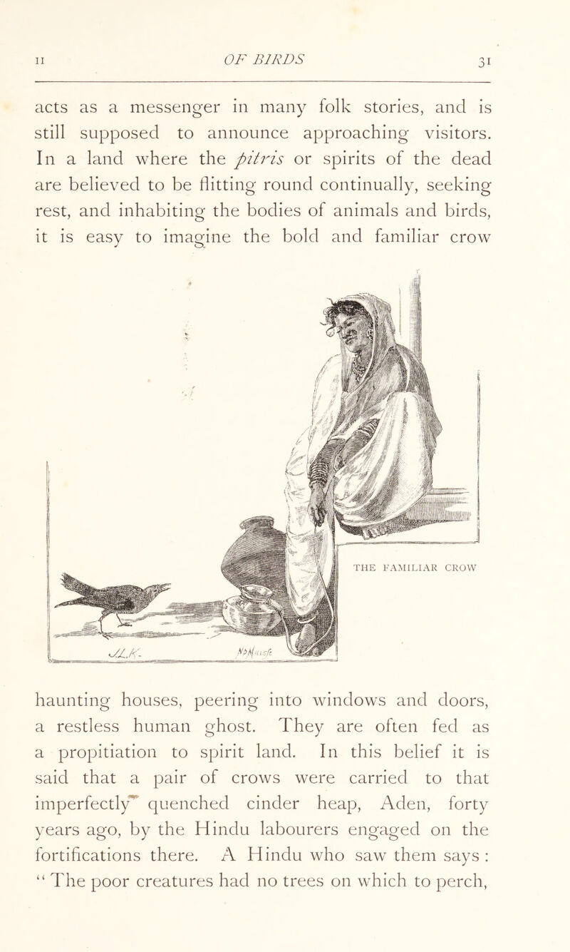 acts as a messenger in many folk stories, and is still supposed to announce approaching visitors. In a land where the pitris or spirits of the dead are believed to be flitting round continually, seeking rest, and inhabiting the bodies of animals and birds, it is easy to imagine the bold and familiar crow haunting houses, peering into windows and doors, a restless human ghost. They are often fed as a propitiation to spirit land. In this belief it is said that a pair of crows were carried to that imperfectly^ quenched cinder heap, Aden, forty years ago, by the Hindu labourers engaged on the fortifications there. A Hindu who saw them says : “The poor creatures had no trees on which to perch,