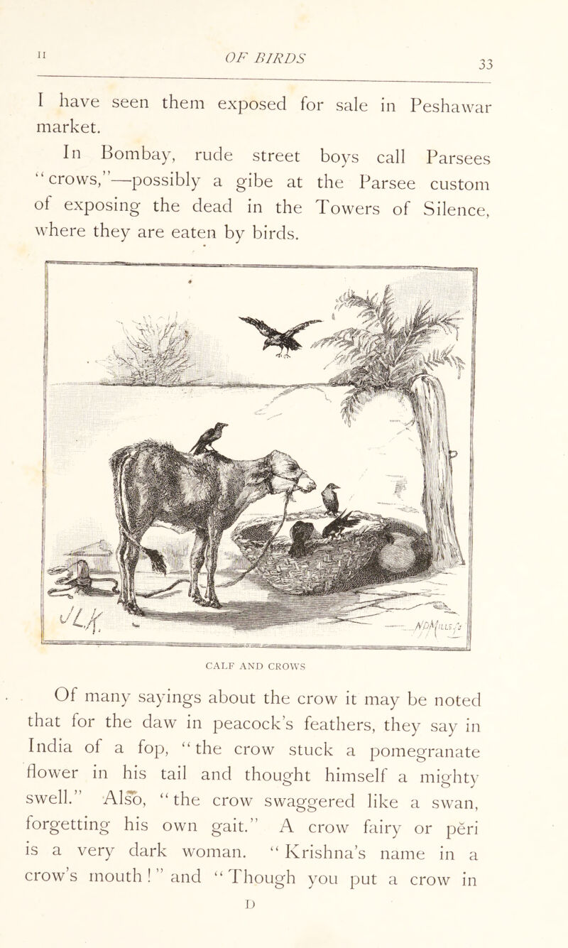 33 I have seen them exposed for sale in Peshawar market. In Bombay, rude street boys call Parsees crows, possibly a gibe at the Parsee custom of exposing the dead in the Towers of Silence, where they are eaten by birds. CALF AND CROWS Of many sayings about the crow it may be noted that for the daw in peacock s feathers, they say in India of a fop, ‘‘the crow stuck a pomegranate flower in his tail and thought himself a mighty swell.” Al^, “the crow swaggered like a swan, forgetting his own gait.” A crow fairy or peri is a very dark woman. “ Krishna’s name in a crow’s mouth ! ” and “ Though you put a crow in D