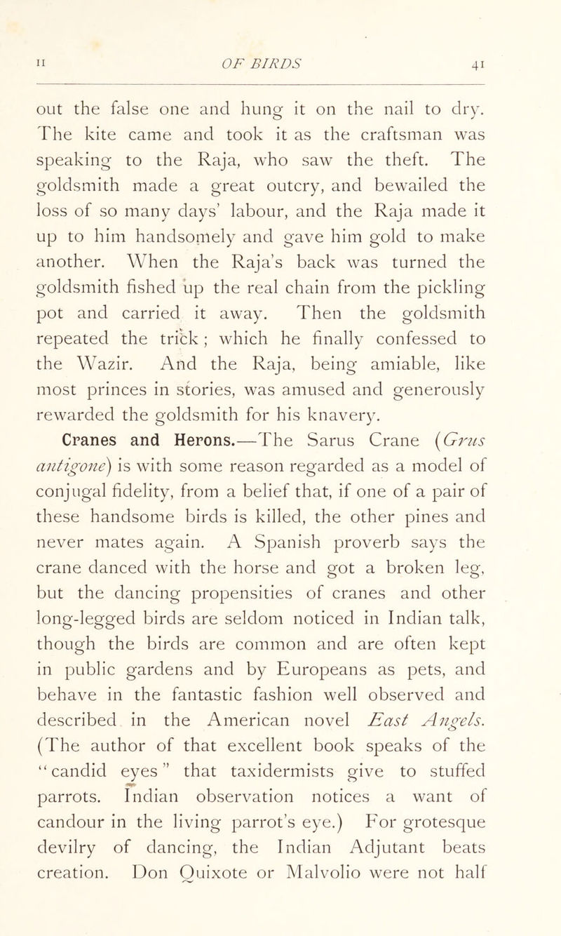 out the false one and hung it on the nail to dry. The kite came and took it as the craftsman was speaking to the Raja, who saw the theft. The goldsmith made a great outcry, and bewailed the loss of so many days’ labour, and the Raja made it up to him handsomely and gave him gold to make another. When the Raja’s back was turned the goldsmith fished up the real chain from the pickling pot and carried it away. Then the goldsmith repeated the trick; which he finally confessed to the Wazir. And the Raja, being amiable, like most princes in stories, was amused and generously rewarded the goldsmith for his knavery. Cranes and Herons.—The Sarus Crane i^Grtts antigone) is with some reason regarded as a model of conjugal fidelity, from a belief that, if one of a pair of these handsome birds is killed, the other pines and never mates again. A Spanish proverb says the crane danced with the horse and got a broken leg, but the dancing propensities of cranes and other long-legged birds are seldom noticed in Indian talk, though the birds are common and are often kept in public gardens and by Europeans as pets, and behave in the fantastic fashion well observed and described in the American novel East Angels. (The author of that excellent book speaks of the “candid eyes” that taxidermists give to stuffed parrots. Indian observation notices a want of candour in the living parrot’s eye.) For grotesque devilry of dancing, the Indian Adjutant beats creation. Don Quixote or Malvolio were not half