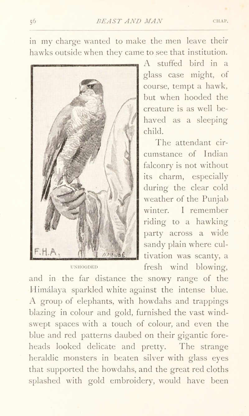 in my charge wanted to make the men leave their hawks outside when they came to see that institution. A stuffed bird in a glass case might, of course, tempt a hawk, but when hooded the creature is as well be- haved as a sleeping child. The attendant cir- cumstance of Indian falconry is not without its charm, especially during the clear cold weather of the Punjab winter. I remember riding to a hawking party across a wide sandy plain where cul- tivation was scanty, a UNHOODED fresh wind blowing, and in the far distance the snowy range of the Himalaya sparkled white against the intense blue. A group of elephants, with howdahs and trappings blazing in colour and gold, furnished the vast wind- swept spaces with a touch of colour, and even the blue and red patterns daubed on their gigantic fore- heads looked delicate and pretty. The strange heraldic monsters in beaten silver with glass eyes that supported the howdahs, and the great red cloths splashed with gold embroidery, would have been