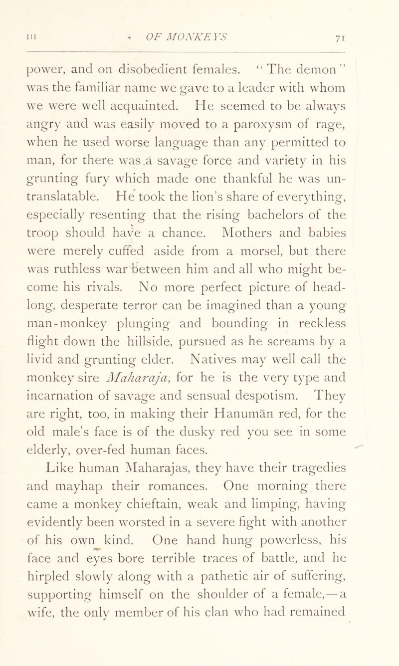 power, and on disobedient females. “The demon” was the familiar name we rave to a leader with whom O we were well acquainted. He seemed to be always angry and was easily moved to a paroxysm of rage, when he used worse language than any permitted to man, for there was .a savage force and variety in his grunting fury which made one thankful he was un- translatable. He took the lion’s share of everything, especially resenting that the rising bachelors of the V troop should have a chance. Mothers and babies were merely cuffed aside from a morsel, but there was ruthless war between him and all who might be- come his rivals. No more perfect picture of head- long, desperate terror can be imagined than a young man-monkey plunging and bounding in reckless flight down the hillside, pursued as he screams by a livid and grunting elder. Natives may well call the monkey sire Maharaja, for he is the very type and incarnation of savage and sensual despotism. They are right, too, in making their Hanuman red, for the old male’s face is of the dusky red you see in some elderly, over-fed human faces. Like human Maharajas, they have their tragedies and mayhap their romances. One morning there came a monkey chieftain, weak and limping, having evidently been worsted in a severe fight with another of his own kind. One hand hung powerless, his face and eyes bore terrible traces of battle, and he hirpled slowly along with a pathetic air of suffering, supporting himself on the shoulder of a female,— a wife, the only member of his dart who had remained