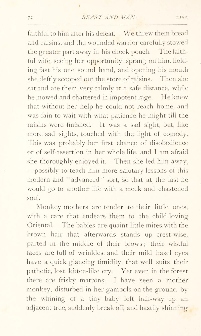 faithful to him after his defeat. We threw them bread and raisins, and the wounded warrior carefully stowed the greater part away in his cheek pouch. The faith- ful wife, seeing her opportunity, sprang on him, hold- ing fast his one sound hand, and opening his mouth she deftly scooped out the store of raisins. Then she sat and ate them very calmly at a safe distance, while he mowed and chattered in impotent rage. He knew that without her help he could not reach home, and was fain to wait with what patience he might till the raisins were finished. It was a sad sight, but, like more sad sights, touched with the light of comedy. This was probably her first chance of disobedience or of self-assertion in her whole life, and I am afraid she thoroughly enjoyed it. Then she led him away, —possibly to teach him more salutary lessons of this modern and “advanced” sort, so that at the last he would tio to another life with a meek and chastened soul. Monkey mothers are tender to their little ones, with a care that endears them to the child-loving Oriental. The babies are quaint little mites with the brown hair that afterwards stands up crest-wise, parted in the middle of their brows ; their wistful faces are full of wrinkles, and their mild hazel eyes have a quick glancing timidity, that well suits their pathetic, lost, kitten-like cry. Yet even in the forest there are frisky matrons. I have seen a mother monkey, disturbed in her gambols on the ground by the whining of a tiny baby left half-way up an adjacent tree, suddenly break off, and hastily shinning