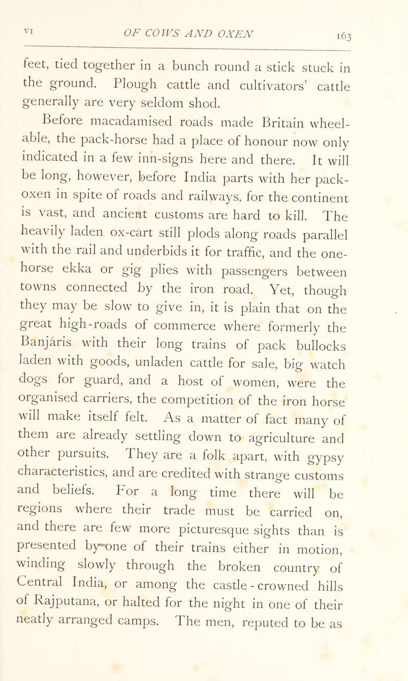 163 feet, tied together in a bunch round a stick stuck in the ground. Plough cattle and cultivators’ cattle generally are very seldom shod. Before macadamised roads made Britain wheel- able, the pack-horse had a place of honour now only indicated in a few inn-signs here and there. It will be long, however, before India parts with her pack- oxen in spite of roads and railways, for the continent is vast, and ancient customs are hard to kill. The heavily laden ox-cart still plods along roads parallel with the rail and underbids it for traffic, and the one- horse ekka or gig plies with passengers between towns connected by the iron road. Yet, though they may be slow to give in, it is plain that on the great high-roads of commerce where formerly the Banjaris with their long trains of pack bullocks laden Avith goods, unladen cattle for sale, big watch dogs for guard, and a host of women, were the organised carriers, the competition of the iron horse will make itself felt. As a matter of fact many of them are already settling down to agriculture and other pursuits. They are a folk apart, with gypsy characteristics, and are credited with strane’e customs and beliefs. F or a long time there will be regions where their trade must be carried on, and there are few more picturesque sights than is presented bygone of their trams either m motion, winding slowly through the broken country of Central India, or among the castle - crowned hills of Rajputana, or halted for the night in one of their neatly arranged camps. The men, reputed to be as