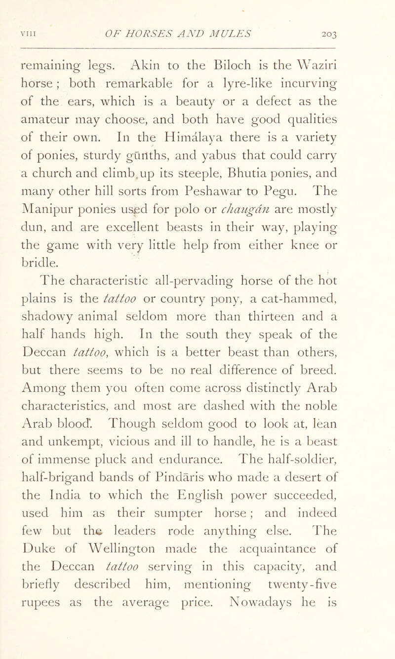 remaining legs. Akin to the Biloch is the Waziri horse; both remarkable for a lyre-like incurving of the ears, which is a beauty or a defect as the amateur may choose, and both have good qualities of their own. In the Himalaya there is a variety of ponies, sturdy guilths, and yabus that could carry a church and climb^up its steeple, Bhutia ponies, and many other hill sorts from Peshawar to Pegu. The Manipur ponies used for polo or cJimigdn are mostly dun, and are excellent beasts in their way, playing the game with very little help from either knee or bridle. The characteristic all-pervading horse of the hot plains is the tattoo or country pony, a cat-hammed, shadowy animal seldom more than thirteen and a half hands high. In the south they speak of the Deccan tattoo, which is a better beast than others, but there seems to be no real difference of breed. Among them you often come across distinctly Arab characteristics, and most are dashed with the noble Arab blood'. Though seldom good to look at, lean and unkempt, vicious and ill to handle, he is a beast of immense pluck and endurance. The half-soldier, half-brigand bands of Pindaris who made a desert of the India to which the English power succeeded, used him as their sumpter horse ; and indeed few but the leaders rode anything else. The Duke of Wellington made the acquaintance of the Deccan tattoo serving in this capacity, and briefly described him, mentioning twenty-five rupees as the average price. Nowadays he is