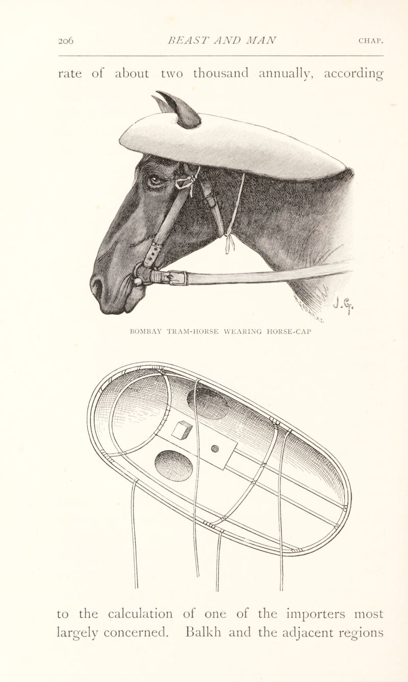 rate of about two thousand annually, accordino' ^ O BOMBAY TRAM-HORSE WEARING HORSE-CAP to the calculation of one of the importers most largely concerned. Balkh and the adjacent regions