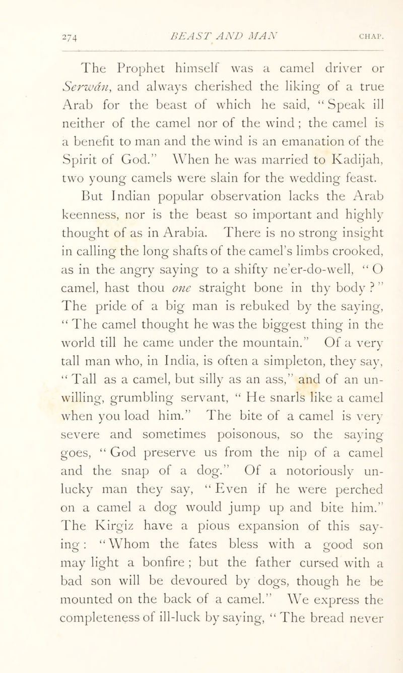 The Prophet himself was a camel driver or Serwdn, and always cherished the liking of a true Arab for the beast of which he said, ‘‘ Speak ill neither of the camel nor of the wind ; the camel is a benefit to man and the wind is an emanation of the Spirit of God.” When he was married to Kadijah, two young camels were slain for the wedding feast. But Indian popular observation lacks the Arab keenness, nor is the beast so important and highly thought of as in Arabia. There is no strontj insio^ht in calling the long shafts of the camel’s limbs crooked, as in the angry saying to a shifty ne’er-do-well, “ O camel, hast thou one straight bone in thy body ? ” The pride of a big man is rebuked by the saying, “ The camel thought he was the biggest thing in the world till he came under the mountain.” Of a very tall man who, in India, is often a simpleton, they say, “ Tall as a camel, but silly as an ass,” and of an un- willing, grumbling servant, “He snarls like a camel when you load him.” The bite of a camel is very severe and sometimes poisonous, so the saying goes, “ God preserve us from the nip of a camel and the snap of a dog.” Of a notoriously un- lucky man they say, “ Piven if he were perched on a camel a dog would jump up and bite him.” The Kirgiz have a pious expansion of this say- ing : “Whom the fates bless with a good son may light a bonfire ; but the father cursed with a bad son will be devoured by dogs, though he be mounted on the back of a camel.” We express the completeness of ill-luck by saying, “The bread never