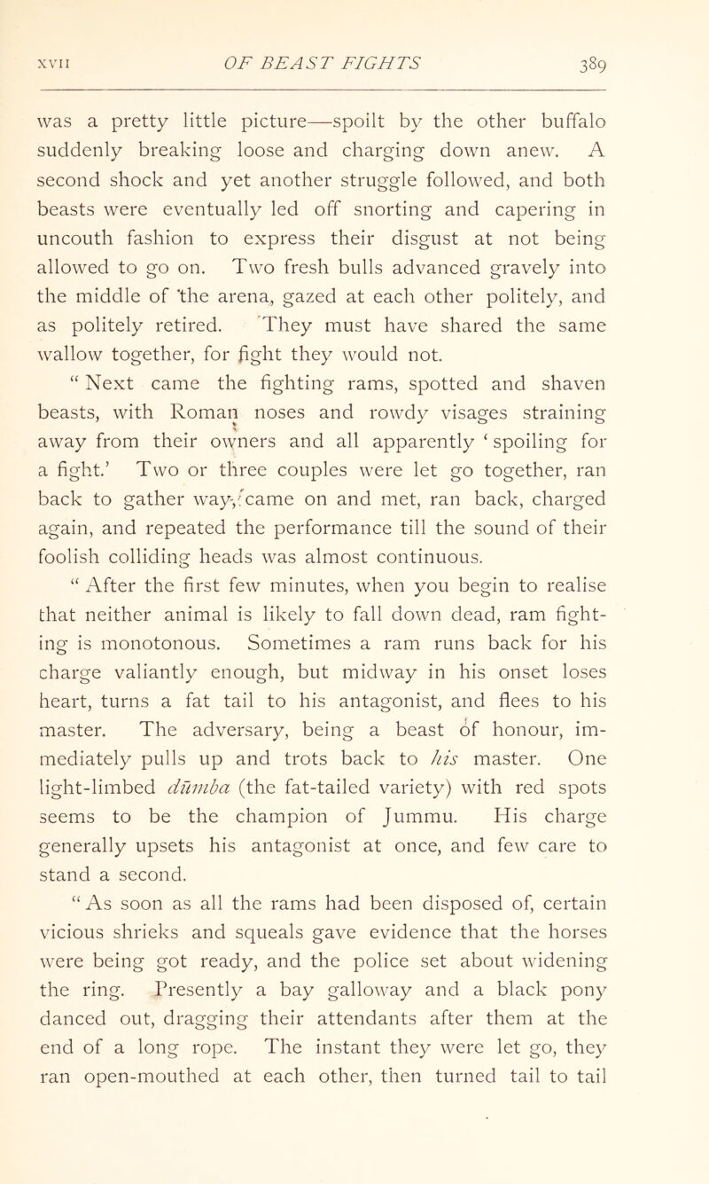 was a pretty little picture—spoilt by the other buffalo suddenly breaking loose and charging down anew. A second shock and yet another struggle followed, and both beasts were eventually led off snorting and capering in uncouth fashion to express their disgust at not being allowed to go on. Two fresh bulls advanced gravely into the middle of the arena, gazed at each other politely, and as politely retired. They must have shared the same wallow together, for hght they would not. “ Next came the fighting rams, spotted and shaven beasts, with Roman noses and rowdy visages straining away from their owners and all apparently ‘ spoiling for a fight’ Two or three couples were let go together, ran back to gather way,fcame on and met, ran back, charged again, and repeated the performance till the sound of their foolish collidinp' heads was almost continuous. o “ After the first few minutes, when you begin to realise that neither animal is likely to fall down dead, ram fight- ing is monotonous. Sometimes a ram runs back for his charge valiantly enough, but midway in his onset loses heart, turns a fat tail to his antagonist, and flees to his master. The adversary, being a beast of honour, im- mediately pulls up and trots back to Jiis master. One light-limbed duniba (the fat-tailed variety) with red spots seems to be the champion of Jummu. His charge generally upsets his antagonist at once, and few care to stand a second. “ As soon as all the rams had been disposed of, certain vicious shrieks and squeals gave evidence that the horses were being got ready, and the police set about widening the ring. Presently a bay galloway and a black pony danced out, dragging their attendants after them at the end of a long rope. The instant they were let go, they ran open-mouthed at each other, then turned tail to tail