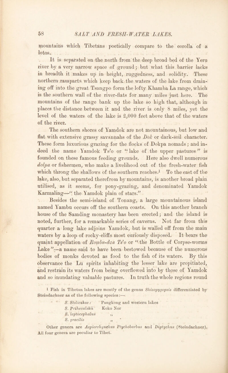 mountains which Tibetans poetically compare to the corolla of a lotos. It is separated on the north from the deep broad bed of the Yeru river by a very narrow space of ground; but what this barrier lacks in breadth it makes up in height^ ruggedness, and solidity. These northern ramparts which keep back the waters of the lake from drain- ing off into the great Tsangpo form the lofty Khamba La range, which is the southern wall of the river-flats for many miles just here. The mountains of the range bank up the lake so high that, although in places the distance between it and the river is only 8 miles, yet the level of the waters of the lake is 2,000 feet above that of the waters of the river. The southern shores of Yamdok are not mountainous, but low and flat with extensive grassy savannahs of the Dole or dark-soil character. These form luxurious grazing for the flocks of Dokpa nomads; and in- deed the name Yamdok Ts^o or ‘‘ lake of the upper pastures is founded on these famous feeding grounds. Here also dwell numerous doljoa or fishermen, who make a livelihood out of the fresh-water fish which throng the shallows of the southern reaches.^ To the east of the lake, also, but separated therefrom by mountains, is another broad plain utilised, as it seems, for pony-grazing, and denominated Yamdok Karmaling—the Yamdok plain of stars.'’^ Besides the semi-island of Tonang, a large mountainous island named Yambu occurs off the southern coasts. On this another branch house of the Samding monastery has been erected; and the island is noted, further, for a remarkable series of caverns. Not far from this quarter a long lake adjoins Yamdok, but is walled off from the main waters by a loop of rocky-cliffs most curiously disposed. It bears the quaint appellation of Rombu-dza Tio or the Bottle of Corpse-worms Lake a name said to have been bestowed because of the numerous bodies of monks devoted as food to the fish of its waters. By this observance the Lu spirits inhabiting the lesser lake are propitiated, and restrain its waters from being overflowed into by those of Yamdok and so inundating valuable pastures. In truth the whole regions round 1 Fisli in Tibetan lakes are mostly of the genns Shizopygopsis differentiated by Steindachner as of the following species: — ^ *■ 8. Stoliczlcae : Pangkong and western lakes 8. Przhevalshii Koko Nor 8. leptoceplialus ,, 8. gracilis „ Other genera are Aspiorrhynchus Ptychoharhus and Diptychus (Steindachner). All four genera are peculiar to Tibet.
