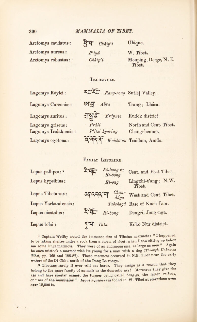 Arctomys caudatus: Arctomys aureus; Arctomys robustus: ^ Lagomys Roylei: Lagomys Curzonise i Lagomys auritus: Lagomys griseus : Lagomys Ladakensis: Lagomys ogotona; ChUpH Fiyd CJihipH Lagomyid^. Rang -rong Air a g'tii’ Brdpuse Prdli P^itsi hyaring WohKo^no Ubique. W. Tibet. Moupiugj DergCj N. E. Tibet. Sutlej Yalley. Tsang; Lhasa. Rudok district. North and Cent. Tibet. Changchenmo. Tsaidam, Amdo. Family Leporidje. Lepus pallipes: ^ Lepus hypsibius i Lepus Tibetanus i Lepus Yarkandensis; Lepus oiostolus: Ri-Ungox Cent, and East Tibet. ' Mi-oong Ri-ong Lingzbi-t’ang; N.W. Tibet. ^Mga Tahshagd Base of Kuen Liin. cv Ri-iong Dengri, Jong-nga. Lepus tolai: Kokd Nur district. 1 Captain Wellby noted the immense size of Tibetan marmots: “ I happened to be taking shelter nnder a rock from a storm of sleet, when I saw sitting up below me some huge marmots. They were of an enormous size, as large as men.” Again he once mistook a marmot with its young for a man with a dog {Through Unknown Tibet^ pp. 169 and 186*87). These marmots occurred in N.E. Tibet near the early waters of the Di Chhu north of the Dang La range. 8 Tibetans rarely if ever will eat hares. They assign as a reason that they belong to the same family of animals as the domestic ass ! Moreover they give the ass and hare similar names, the former being called hong-gu, the latter re-bong, or “ ass of the mountains.” Lepus hypsibius is found in W. Tibet at elevations even over 18,000 ft.