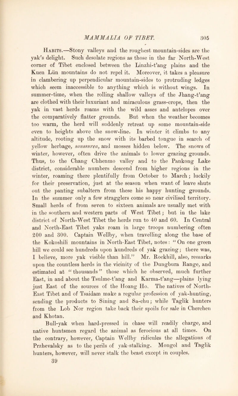 Habits.—Stony valleys and the roughest mountain-sides are the yak^s delight. Such desolate regions as those in the far North-West corner of Tibet enclosed between the Linzhi-t'’ang plains and the Kuen Liin mountains do not repel it. Moreover, it takes a pleasure in clambering up perpendicular mountain-sides to protruding ledges which seem inaccessible to anything which is without wings. In summer-time, when the rolling shallow valleys of the Jhang-t’ang are clothed with their luxuriant and miraculous grass-crops, then the yak in vast herds roams with the wild asses and antelopes over the comparatively flatter grounds. But when the weather becomes too warm, the herd will suddenly retreat up some mountain-side even to heights above the snow-line. In winter it climbs to any altitude, rooting up the snow with its barbed tongue in search of yellow herbage, saussurea, and mosses hidden below. The snows of winter, however, often drive the animals to lower grazing grounds. Thus, to the Chang Chhenmo valley and to the Pankong Lake district, considerable numbers descend from higher regions in the winter, roaming there plentifully from October to March; luckily for their preservation, just at the season when want of leave shuts out the panting subaltern from these his happy hunting grounds. In the summer only a few stragglers come so near civilised territory. Small herds of from seven to sixteen animals are usually met with in the southern and western parts of West Tibet; but in the lake district of North-West Tibet the herds run to 40 and 60. In Central and North-East Tibet yaks roam in large troops numbering often 200 and 300. Captain Wellby, when travelling along the base of the Kokoshili mountains in North-East Tibet, notes : On one green hill we could see hundreds upon hundreds of yak grazing; there was, I believe, more yak visible than hill.^^ Mr. Rockhill, also, remarks upon the countless herds in the vicinity of the Dungbura Range, and estimated at thousands those which he observed, much further East, in and about the Tsulme-Pang and Karma-Pang—plains lying just East of the sources of the Hoang Ho. The natives of North- East Tibet and of Tsaidam make a regular profession of yak-hunting, sending the products to Sining and Sa-chu; while Taglik hunters from the Lob Nor region take back their spoils for sale in Cherchen and K ho tan. Bull-yak when hard-pressed in chase will readily charge, and native huntsmen regard the animal as ferocious at all times. On the contrary, however. Captain Wellby ridicules the allegations of Przhevalsky as to the perils of yak-stalking. Mongol and Taglik hunters, however, will never stalk the beast except in couples. 39