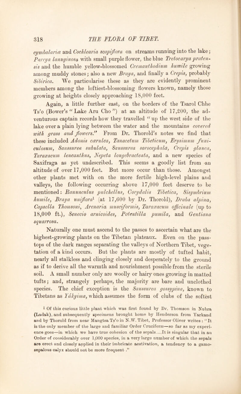 cymhalarice and Cochlearia scapiflora on streams running into the lake; Parry a lanuginosa with small purple flower^ the blue Tretocarya praten- sis and the humble yellow-blossomed Cremantliodium liumile growing among muddy stones; also a new Bray a, and finally a Crepis, probably Sihirica. We particularise these as they are evidently prominent members among the loftiest-blossoming flowers known, namely those growing at heights closely approaching 18,000 feet. Again, a little further east, on the borders of the Tsarol Chhe Ts^o (Bower^s Lake Aru Choat an altitude of 17,200, the ad- venturous captain records how they travelled up the west side of the lake over a plain lying between the water and the mountains covered with grass and flowers/^ From Dr. Thorold^s notes we find that these included Adonis ccjerulea^ Ta^iaceUm Tiheticiim, Erysimum funi- culosum, Saussurea suhnlata^ Sausstcrea sorocephala, Crepis glaiica^ Taraocacim leucantJius, Nepeta longebracteata, and a new species of Saxifraga as yet undescribed. This seems a goodly list from -an altitude of over 17,000 feet. But more occur than those. Amongst other plants met with on the more fertile high-level plains and valleys, the following occurring above 17,000 feet deserve to be mentioned: RanuncuHs pulchellus, Gorydalis Tibetica, Sisymbrium humiley Bray a uniflora)- (at 17,600 by Dr. Thorold), Eraba alpina, Capsella Thomsoni^ Arenaria miisciformis. Taraxacum officinale (up to 18,000 ft.), Senecio arnicoides, Potentilla pumilaj and Gentiana squarrosa. Naturally one must ascend to the passes to ascertain what are the highest-growing plants on the Tibetan plateaux. Even on the pass- tops of the dark ranges separating the valleys of Northern Tibet, vege- tation of a kind occurs. But the plants are mostly of tufted habit, nearly all stalkless and clinging closely and desperately to the ground as if to derive all the warmth and nourishment possible from the sterile soil. A small number only are woolly or hairy ones growing in matted tufts; and, strangely perhaps, the majority are bare and unclothed species. The chief exception is the Saussurea gossypina, known to Tibetans as Ydkyimay which assumes the form of clubs of the softest 1 Of this curious little plant which was first found by Dr. Thomson in Nubra (Ladak), and subsequently specimens brought home by Henderson from Yarkand and by Thorold from near Mangtsa Ts’o in N.W. Tibet, Professor Oliver writes : “It is the only member of the large and familiar Order Cruoiferae—so far as my experi- ence goes—in which we have true cohesion of the sepals. ...It is singular that in an Order of considerably over 1,000 species, in a very large number of which the sepals are erect and closely applied in their imbricate aestivation, a tendency to a gamo* sepalous calyx should not be more frequent .”