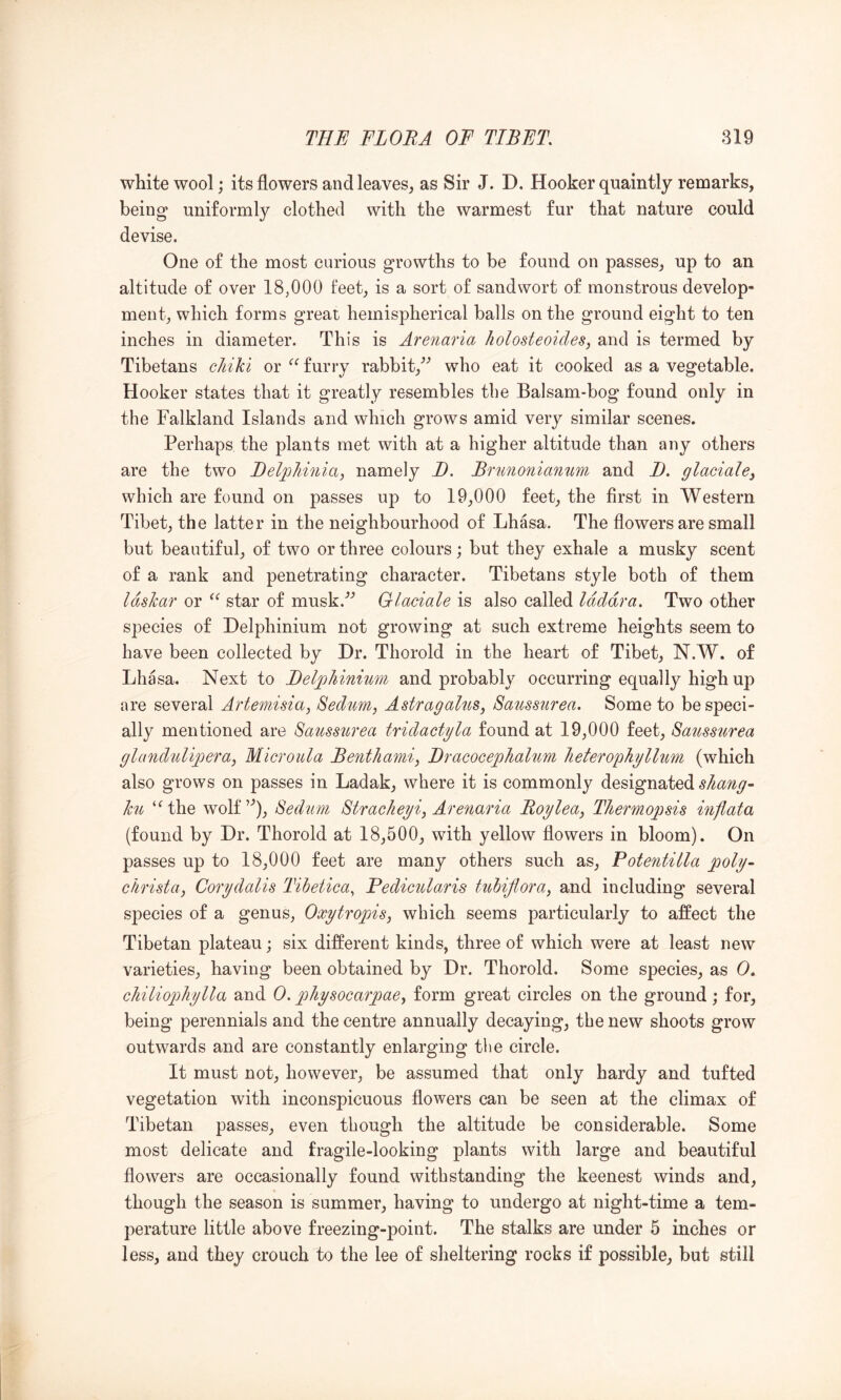 white wool; its flowers andleaves^ as Sir J. D. Hooker quaintly remarks, being uniformly clothed with the warmest fur that nature could devise. One of the most curious growths to be found on passes, up to an altitude of over 18,000 feet, is a sort of sandwort of monstrous develop- ment, which forms great hemispherical balls on the ground eight to ten inches in diameter. This is Arenaria holosteoidesj and is termed by Tibetans ehiki or furry rabbiV^ who eat it cooked as a vegetable. Hooker states that it greatly resembles the Balsam-bog found only in the Falkland Islands and which grows amid very similar scenes. Perhaps the plants met with at a higher altitude than any others are the two Helplimia, namely B. Bnmoniamm and B. glaciale^ which are found on passes up to 19,000 feet, the first in Western Tibet, the latter in the neighbourhood of Lhasa. The flowers are small but beautiful, of two or three colours; but they exhale a musky scent of a rank and penetrating character. Tibetans style both of them Idshar or star of musk.'’’ Glaciale is also called Idddra. Two other species of Delphinium not growing at such extreme heights seem to have been collected by Dr. Thorold in the heart of Tibet, N.W. of Lhasa. Next to Beljohinium and probably occurring equally high up are several Artemisia^ Sedum, Astragalus^ Satmiirea. Some to be speci- ally mentioned are Saussurea tridactyla found at 19,000 feet, Saussurea gland'uliperay Microula Benthami, Bracocejohahm lieterophyllum (which also grows on passes in Ladak, where it is commonly designated sJiang- hi ‘^the wolf’’), Sedum Stracheyi, Arenaria Roylea, Thermopsis inflata (found by Dr. Thorold at 18,500, with yellow flowers in bloom). On passes up to 18,000 feet are many others such as, Potentilla poly- christa, Corydalis Tibetica, Hedicularis tubiflora, and including several species of a genus, Oxytropis, which seems particularly to affect the Tibetan plateau; six different kinds, three of which were at least new varieties, having been obtained by Dr. Thorold. Some species, as 0. cliiliopJiylla and 0, physocarpae^ form great circles on the ground; for, being perennials and the centre annually decaying, the new shoots grow outwards and are constantly enlarging the circle. It must not, however, be assumed that only hardy and tufted vegetation with inconspicuous flowers can be seen at the climax of Tibetan passes, even though the altitude be considerable. Some most delicate and fragile-looking plants with large and beautiful flowers are occasionally found withstanding the keenest winds and, though the season is summer, having to undergo at night-time a tem- perature little above freezing-point. The stalks are under 5 inches or less, and they crouch to the lee of sheltering rocks if possible, but still
