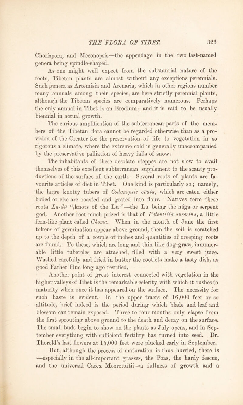 Chorispora^ and Meconopsis^—the appendage in the two last-named genera being spindle-shaped. As one might well exj)ect from the substantial nature of the roots^ Tibetan plants are almost without any exceptions perennials. Such genera as Artemisia and Arenaria, which in other regions number many annuals among their species,, are here strictly perennial plants, although the Tibetan species are comparatively numerous. Perhaps the only annual in Tibet is an Erodium; and it is said to be usually biennial in actual growth. The curious amplification of the subterranean parts of the mem- bers of the Tibetan flora cannot be regarded otherwise than as a pro- vision of the Creator for the preservation of life to vegetation in so rigorous a climate, where the extreme cold is generally unaccompanied by the preservative palliation of heavy falls of snow. The inhabitants of these desolate steppes are not slow to avail themselves of this excellent subterranean supplement to the scanty pro- ductions of the surface of the earth. Several roots of plants are fa- vourite articles of diet in Tibet. One kind is particularly so ; namely, the large knotty tubers of Coclowjosis ovata, which are eaten either boiled or else are roasted and grated into flour. Natives term these roots Lu-dil ^‘jknots of the Lu/^—-the Lu being the naga or serpent god. Another root much prized is that of Potentilla anserinay a little fern-like plant called Glioma, When in the month of June the first tokens of germination appear above ground, then the soil is scratched up to the depth of a couple of inches and quantities of creeping roots are found. To these, which are long and thin like dog-grass, innumer- able little tubercles are attached, filled with a very sweet juice. Washed carefully and fried in butter the rootlets make a tasty dish, as good Father Hue long ago testified. Another point of great interest connected with vegetation in the higher valleys of Tibet is the remarkable celerity with which it rushes to maturity when once it has appeared on the surface. The necessity for such haste is evident. In the upper tracts of 16,000 feet or so altitude, brief indeed is the period during which blade and leaf and blossom can remain exposed. Three to four months only elapse from the first sprouting above ground to the death and decay on the surface. The small buds begin to show on the plants as July opens, and in Sep- tember everything with sufficient fertility has turned into seed. Dr. Thoroldts last flowers at 15,000 feet were plucked early in September. But, although the process of maturation is thus hurried, there is —especially in the all-important grasses, the Boas, the hardy fescue, and the universal Carex Moorcroftii—a fullness of growth and a