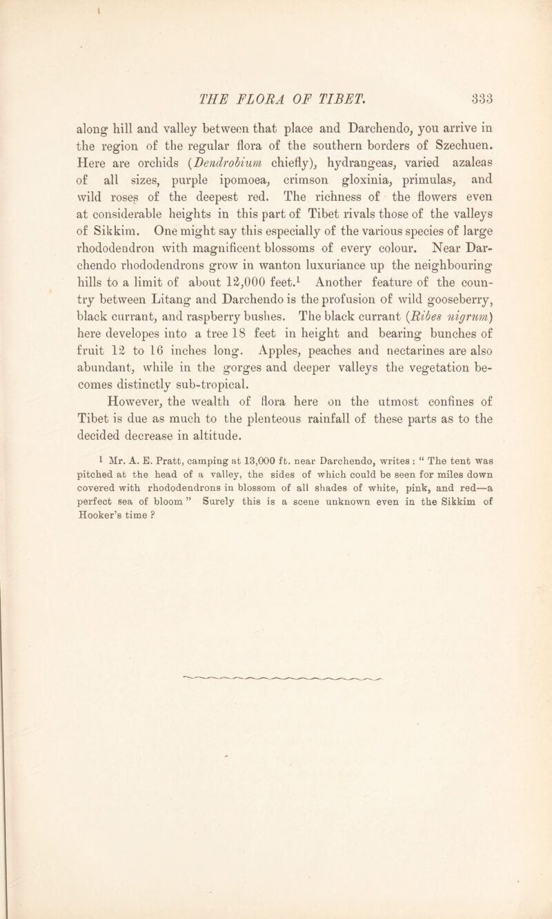 along hill and valley between that place and Darchendo, you arrive in the region of the regular flora of the southern borders of Szechuen. Here are orchids {Benclrohium chieflyhydrangeas, varied azaleas of all sizes, purple ipomoea, crimson gloxinia, primulas, and wild roses of the deepest red. The richness of the flowers even at considerable heights in this part of Tibet rivals those of the valleys of Sikkim. One might say this especially of the various species of large rhododendron with magnificent blossoms of every colour. Near Dar- chendo rhododendrons grow in wanton luxuriance up the neighbouring hills to a limit of about 12,000 feet.^ Another feature of the coun- try between Litang and Darchendo is the profusion of wild gooseberry, black currant, and raspberry bushes. The black currant {Bides ni^nm) here developes into a tree 18 feet in height and bearing bunches of fruit 12 to 16 inches long. Apples, peaches and nectarines are also abundant, while in the gorges and deeper valleys the vegetation be- comes distinctly sub-tropical. However, the wealth of flora here on the utmost confines of Tibet is due as much to the plenteous rainfall of these parts as to the decided decrease in altitude. 1 Mr. A. E. Pratt, camping at 13,000 ft. near Darchendo, writes : “ The tent was pitched at the head of a valley, the sides of which could be seen for miles down covered with rhododendrons in blossom of all shades of white, pink, and red—a perfect sea of bloom ” Surely this is a scene unknown even in the Sikkim of Hooker’s time ?