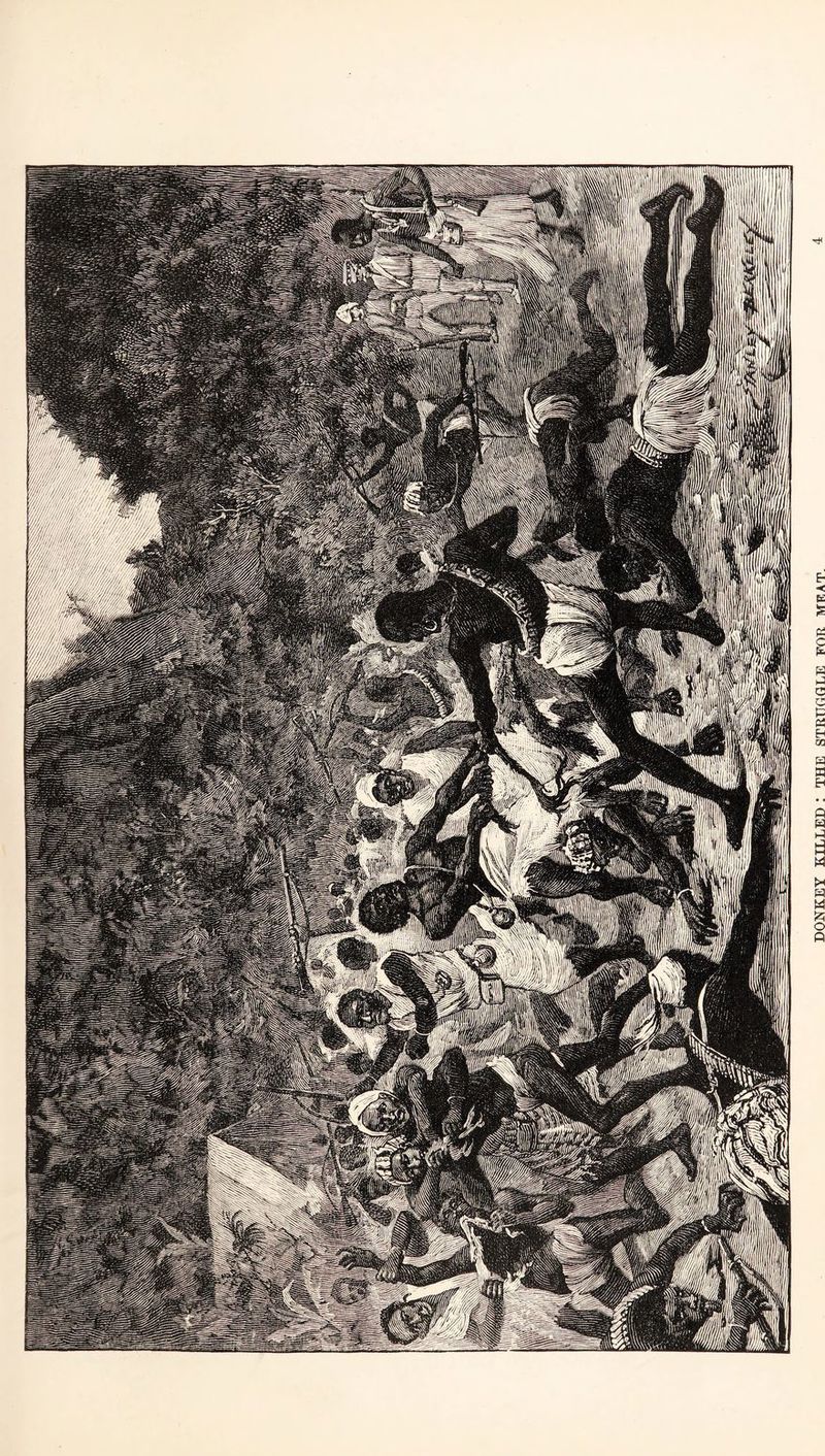 DONKEY KILLED ! THE STRTTflflLE FOR MEAT