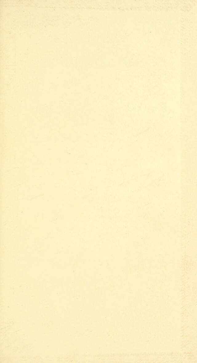 digitised image 3