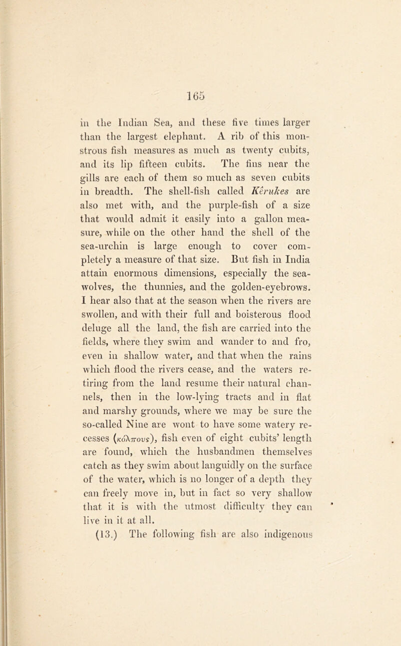 in tiie Indian Sea, and these tive times larger than the largest elephant. A rib of this mon- strous fish measures as much as twenty cubits, and its lip fifteen cubits. The fins near the gills are each of them so much as seven cubits in breadth. The shell-fish called Itemizes are also met with, and the purple-fish of a size that would admit it easily into a gallon mea- sure, while on the other hand the shell of the sea-urchin is large enough to cover com- pletely a measure of that size. But fish in India attain enormous dimensions, especially the sea- wolves, the thunnies, and the golden-eyebrows. I hear also that at the season when the rivers are swollen, and with their full and boisterous flood deluge all the land, the fish are carried into the fields, where tliev swim and wander to and fro, even in shallow water, and that when the rains which flood the rivers cease, and the waters re- tiring from the land resume their natural chan- nels, then in the low-lying tracts and in flat and marshy grounds, where we may be sure the so-called Nine are wont to have some watery re- cesses (koXttovs), fish even of eight cubits’ length are found, which the husbandmen themselves catch as they swim about languidly on the surface of the water, which is no longer of a depth they can freely move in, but in fact so very shallow that it is with the utmost difficulty they can live in it at all.