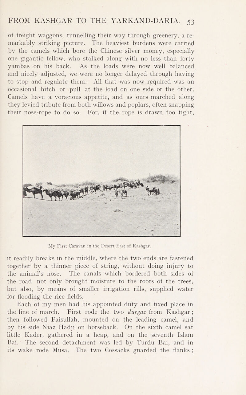 of freight waggons, tunnelling their way through greenery, a re- markably striking picture. The heaviest burdens were carried by the camels which bore the Chinese silver money, especially one gigantic fellow, who stalked along with no less than forty yambas on his back. As the loads were now well balanced and nicely adjusted, we were no longer delayed through having to stop and regulate them. All that was now required was an occasional hitch or pull at the load on one side or the other. Camels have a voracious appetite, and as ours marched along they levied tribute from both willows and poplars, often snapping their nose-rope to do so. For, if the rope is drawn too tight, My First Caravan in the Desert East of Kashgar. it readily breaks in the middle, where the two ends are fastened together by a thinner piece of string, without doing injury to the animal’s nose. The canals which bordered both sides of the road not only brought moisture to the roots of the trees, but also, by means of smaller irrigation rills, supplied water for flooding the rice fields. Each of my men had his appointed duty and fixed place in the line of march. First rode the two durgaz from Kashgar ; then followed Faisullah, mounted on the leading camel, and by his side Niaz Hadji on horseback. On the sixth camel sat little Kader, gathered in a heap, and on the seventh Islam Bai. The second detachment was led by Turdu Bai, and in its wake rode Musa. The two Cossacks guarded the flanks ;