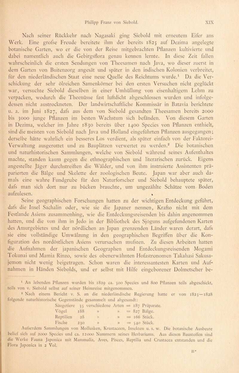 Nach seiner Rückkehr nach Nagasaki ging Sieb old mit erneutem Eifer ans Werk. Eine grofse Freude bereitete ihm der bereits 1825 auf Dezima angelegte botanische Garten, wo er die von der Reise mitgebrachten Pflanzen kultivierte und dabei namentlich auch die Gebirgsflora genau kennen lernte. In diese Zeit fallen wahrscheinlich die ersten Sendungen von Theesamen nach Java, wo dieser zuerst in dem Garten von Buitenzorg angesät und später in den indischen Kolonien verbreitet, für den niederländischen Staat eine neue Quelle des Reichtums wurde.1 Da die Ver- schickung der sehr ölreichen Samenkörner bei den ersten Versuchen nicht geglückt war, versuchte Siebold dieselben in einer Umhüllung von eisenhaltigem Lehm zu verpacken, wodurch die Theenüsse fast luftdicht abgeschlossen wurden und infolge- dessen nicht austrockneten. Der landwirtschaftliche Kommissär in Batavia berichtete u. a. im Juni 1827, dafs aus dem von Siebold gesandten Theesamen bereits 2000 bis 3000 junge Pflanzen im besten Wachstum sich befänden. Von diesem Garten in Dezima, welcher im Jahre 1830 bereits über 1400 Species von Pflanzen enthielt, sind die meisten von Siebold nach Java und Holland eingeführten Pflanzen ausgegangen; derselbe hätte wahrlich ein besseres Los verdient, als später einfach von der Faktorei- Verwaltung ausgerottet und zu Bauplätzen verwertet zu werden.2 Die botanischen und naturhistorischen Sammlungen, welche von Siebold während seines Aufenthaltes machte, standen kaum gegen die ethnographischen und literarischen zurück. Eigens angestellte Jäger durchstreiften die Wälder, und von ihm instruierte Assistenten prä- parierten die Bälge und Skelette der zoologischen Beute. Japan war aber auch da- mals eine wahre Fundgrube für den Naturforscher und Siebold behauptete später, dafs man sich dort nur zu bücken brauchte, um ungezählte Schätze vom Boden aufzulesen. * Seine geographischen Forschungen hatten zu der wichtigen Entdeckung geführt, dafs die Insel Sachalin oder, wie sie die Japaner nennen, Krafto nicht mit dem Festlande Asiens zusammenhing, wie die Entdeckungsreisenden bis dahin angenommen hatten, und die von ihm in Jedo in der Bibliothek des Sjöguns aufgefundenen Karten des Amurgebietes und der nördlichen an Japan grenzenden Länder waren derart, dafs sie eine vollständige Umwälzung in den geographischen Begriffen über die Kon- figuration des nordöstlichen Asiens verursachen mufsten. Zu diesen Arbeiten hatten die Aufnahmen der japanischen Geographen und Entdeckungsreisenden Mogami Tokunai und Mamia Rinzo, sowie des obenerwähnten Hofastronomen Takahasi Sakusa- jemon nicht wenig beigetragen. Schon waren die interessantesten Karten und Auf- nahmen in Händen Siebolds, und er selbst mit Hilfe eingeborener Dolmetscher be- 1 An lebenden Pflanzen wurden bis 1829 ca. 500 Species und 800 Pflanzen teils abgeschickt, teils von v. Siebold selbst auf seiner Heimreise mitgenommen. 2 Nach einem Bericht v. S. an die niederländische Regierung hatte er von 1823 —1828 folgende naturhistorische Gegenstände gesammelt und abgesandt: Säugetiere 3 5 verschiedene Arten = 187 Präparate, V ögel 188 » » — 827 Bälge. Reptilien 28 » » = 166 Stück. Fische 2 30 » = 540 Stück. Aulserdem Sammlungen von Mollusken, Krustaceen, Insekten u. s. w. Die botanische Ausbeute belief sich auf 2000 Species und ca. 12000 Nummern seines Herbariums. Aus diesen Baustoffen sind die Werke Fauna Japonica mit Mammalia, Aves, Pisces, Reptilia und Crustacea entstanden und die Flora Japonica in 2 Vol. II*