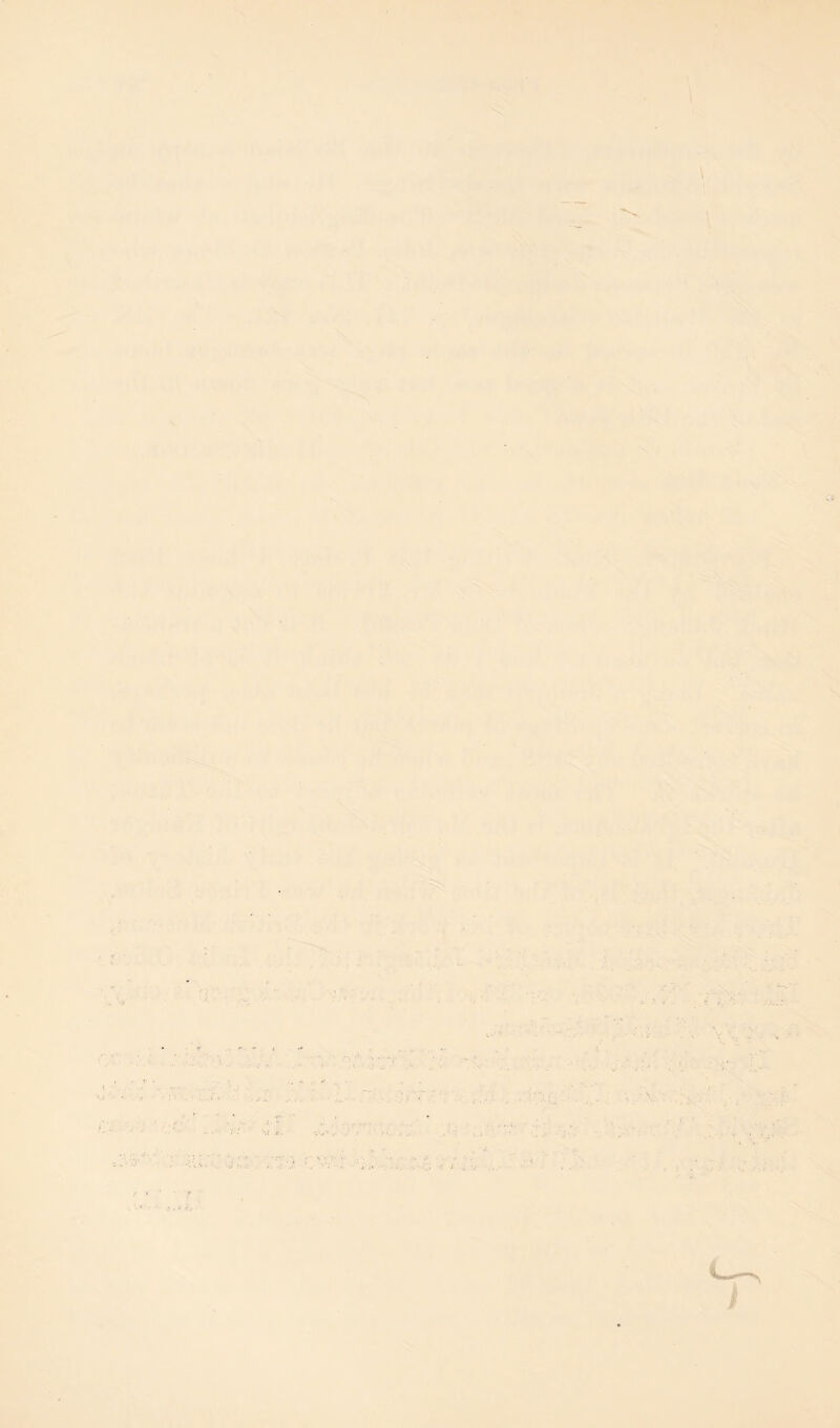 IV f t 1 1 \ /■ -»-• ■ ,T