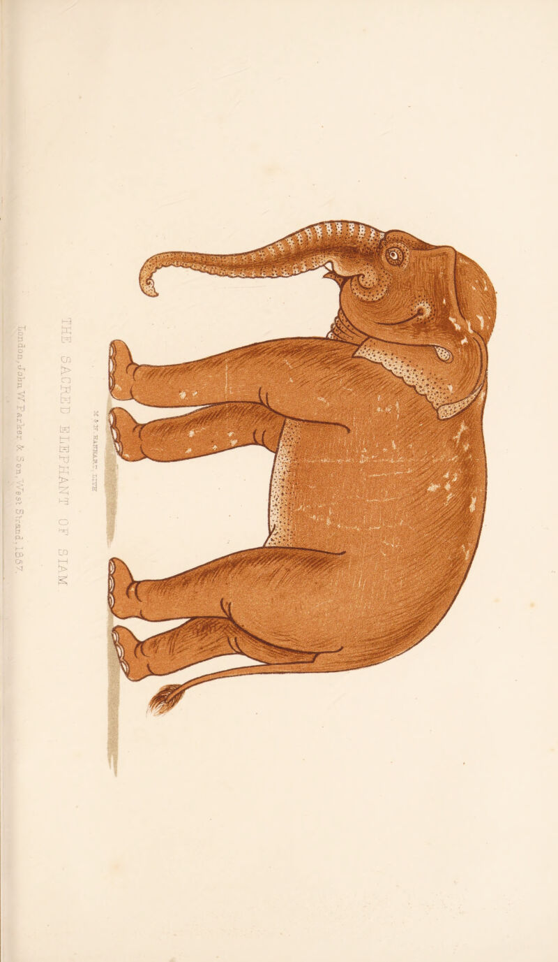 ■ pTOJl.g IS3/\a_'u.oc j;y^rri:^oji'nopuo'2 I