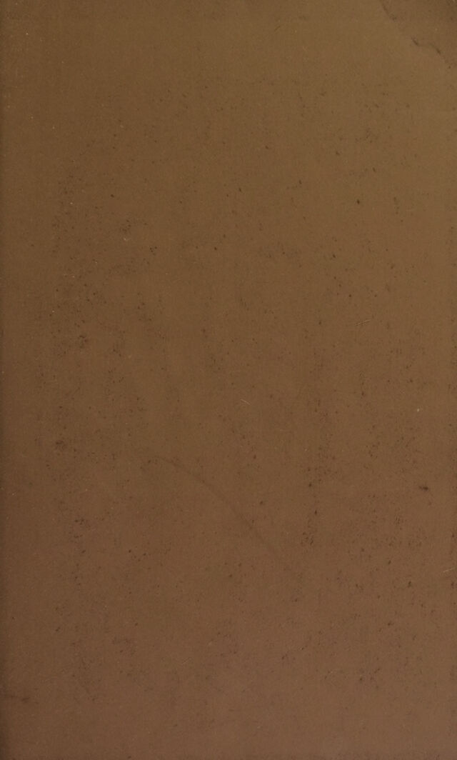 digitised image 3
