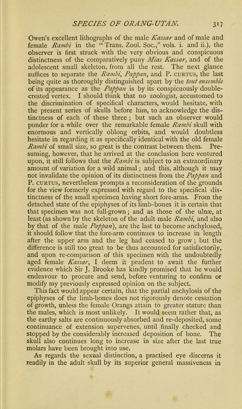 Owen’s excellent lithographs of the male Kassar and of male and female Ramin in the “ Trans. Zool. Soc.,” vols. i. and ii.), the observer is first struck with the very obvious and conspicuous distinctness of the comparatively puny Mias Kassar, and of the adolescent small skeleton, from all the rest. The next glance suffices to separate the Rambi, Pappan, and P. curtus, the last being quite as thoroughly distinguished apart by the tout ensemble of its appearance as the Pappan is by its conspicuously double- crested vertex. I should think that no zoologist, accustomed to the discrimination of specifical characters, would hesitate, with the present series of skulls before him, to acknowledge the dis- tinctness of each of these three ; but such an observer would ponder for a while over the remarkable female Rambi skull with enormous and vertically oblong orbits, and would doubtless hesitate in regarding it as specifically identical with the old female Rambi of small size, so great is the contrast between them. Pre- suming, however, that he arrived at the conclusion here ventured upon, it still follows that the Rambi is subject to an extraordinary amount of variation for a wild animal; and this, although it may not invalidate the opinion of its distinctness from the Pappan and P. curtus, nevertheless prompts a reconsideration of the grounds for the view formerly expressed with regard to the specifical dis- tinctness of the small specimen having short fore-arms. From the detached state of the epiphyses of its limb-bones it is certain that that specimen was not full-grown; and as those of the ulnre, at least (as shown by the skeleton of the adult male Rambi, and also by that of the male Pappan), are the last to become anchylosed, it should follow that the fore-arm continues to increase in length after the upper arm and the leg had ceased to grow; but the difference is still too great to be thus accounted for satisfactorily, and upon re-comparison of this specimen with the undoubtedly aged female Kassar, I deem it prudent to await the further evidence which Sir J. Brooke has kindly promised that he would endeavour to procure and send, before venturing to confirm or modify my previously expressed opinion on the subject. This fact would appear certain, that the partial anchylosis of the epiphyses of the limb-bones does not rigorously denote cessation of growth, unless the female Orangs attain to greater stature than the males, which is most unlikely. It would seem rather that, as the earthy salts are continuously absorbed and re-deposited, some continuance of extension supervenes, until finally checked and stopped by the considerably increased deposition of bone. The skull also continues long to increase in size after the last true molars have been brought into use. As regards the sexual distinction, a practised eye discerns it readily in the adult skull by its superior general massiveness in