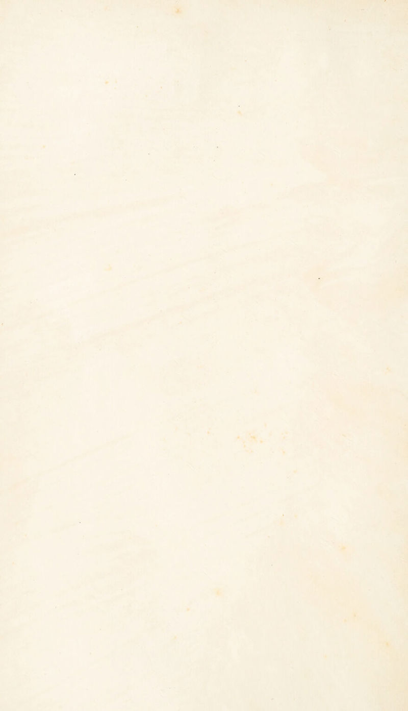 Jh \ •' ■ V 4* ; \ * 1 • V j \ » 'rT. V. *■■ N 'v >1! i; ■. -i ■ * » . •vN. <• •:0 r ‘ ft V» \ ■Pi . V ‘•j ,S' '1#, xl S» ' • W \ 'I. r ■ * . « ft .V k < é