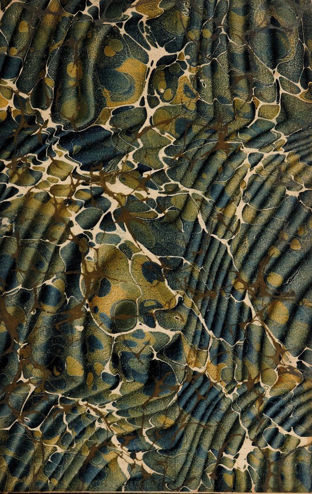 digitised image 3