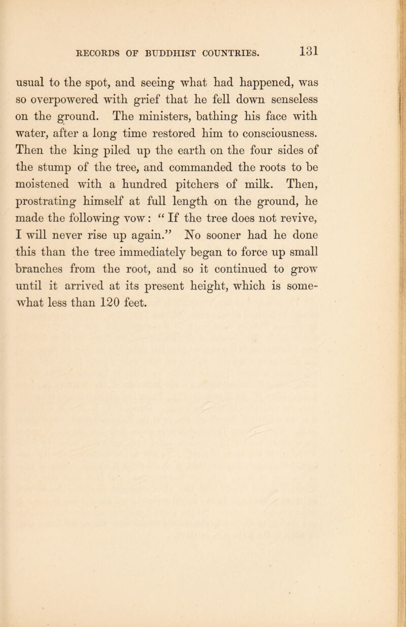 usual to tlie spot, and seeing what had happened, was so overpowered with grief that lie fell down senseless on the ground. The ministers, bathing his face with water, after a long time restored him to consciousness. Then the king piled up the earth, on the four sides of tlie stump of the tree, and commanded the roots to be moistened with, a hundred pitchers of milk. Then, prostrating himself at full length on the ground, lie made the following yow: “If the tree does not revive, I will never rise up again.” No sooner had he done this than the tree immediately began to force up small branches from the root, and so it continued to grow until it arriyed at its present height, which, is some- what less than 120 feet.