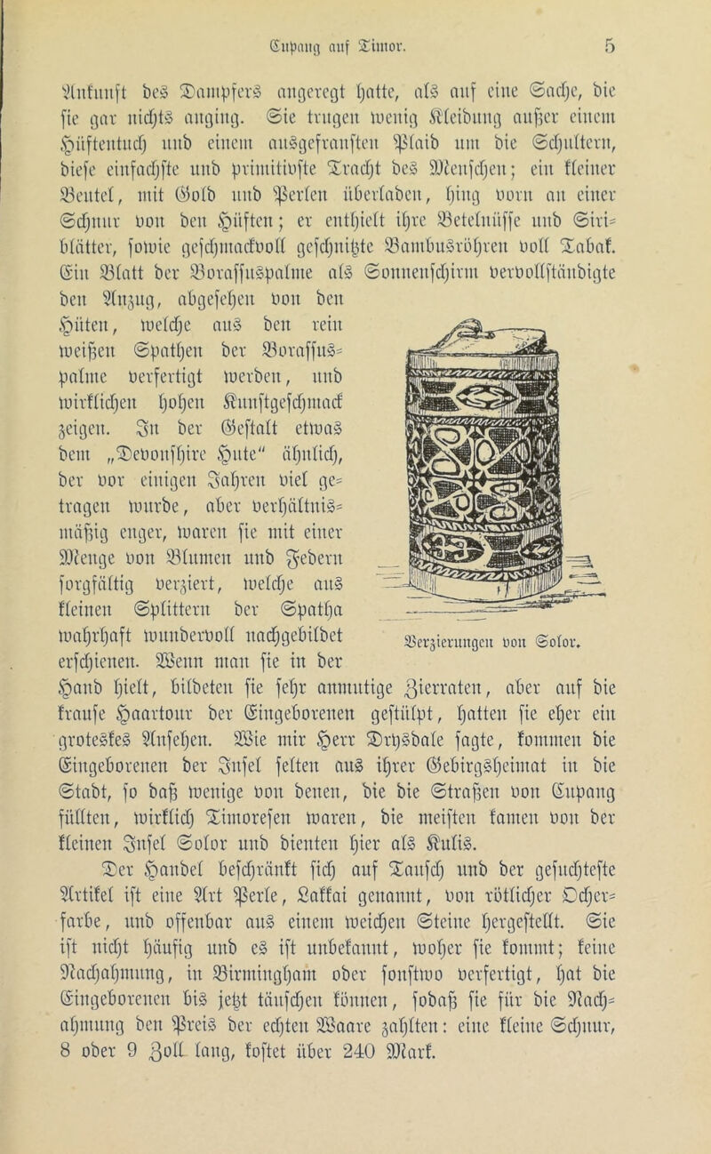 XHnfiiiift be3 Kämpfers angeregt patte, at» auf eine ©adje, bic fie gar nidjts anging, ©ie trugen wenig Äleibung aitfser einem <püftentud) unb einem auSgefronfteu fßtaib um bie ©cpultent, biefe einfadjfte unb primitiufte Xradjt be§ ÜReufdfjeit; ein Keiner S3eutet, mit Ci5otb unb Werten iibertabeu, pittg turnt an einer ©djttitr üoit beit tgüften; er enthielt ipre Setetuiiffe unb ©tri- btättcr, fomie gefdjmadüott gefdjnipte Santbu§röpreit üott Xabat (Sin Statt ber SoraffttSpaftue afö ©onneitfdjirtn üerüottftäubigte beit Stngng, abgefepeit üon beit §üteit, metepe au§ beit teilt weiften ©patpen ber Soraffu^ patnte verfertigt werben, ttitb mirKidjen popeit Äunftgeftfjutatf geigen. Sn ber Eeftatt etwa§ beut „Xebottfpire §ute üpittid), ber üor einigen Setzten viel ge= tragen mürbe, aber üerpftltuiS* ittäftig enger, waren fie mit einer Stenge non SBtnmeu unb Sebent forgfättig tiergiert, Wetcfte ait§ Keinen ©ptitteru ber ©patpa waprpaft wuubertiott uaepgebitbet erfdjienett. SSeun mau fie in ber §anb piett, bitbetcu fie fepr anmutige Zierraten, aber auf bie Kaufe Jpaartour ber Eingeborenen geftiilpt, patten fie eper eilt groteSfeS Stufet)eit. 2Bie mir §err £)rp§bate fagte, fomnteit bie Eingeborenen ber Snfet fetten aus iprer ©ebirgSpeimat in bie ©tabt, fo baft wenige üott betten, bie bie ©troffen von Eitpaug füllten, wirttief) Ximorefen waren, bie weiften fantett von ber Keinen Snfet ©otor unb bienten t)icr at§ ®uti§. Xer Raubet befd)räutt fid) auf Xaitfcp unb ber gefudjtefte Strtifet ift eine Strt inerte, ßaffai genannt, non rottiefjer Dtp er* färbe, unb offenbar au§ einem meidjett ©teilte pergeftettt. ©ie ift niept päufig unb e§ ift unbelaunt, woper fte fommt; feilte •Kadjapntitng, in Sirmingpant ober fouftmo verfertigt, pat bie Eingeborenen bis jept töufcpen Kinnen, fobaft fte für bie 9iad)- apmitng beit ^ßreiS ber ed)ten SBaare gaptten: eilte Keilte ©djitttr, 8 ober 9 ßolt lang, foftet über 240 SOiarf. SSergtevungcu Don ©otor.