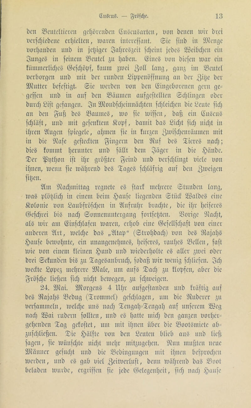 ben ^Beuteltieren gejjörcttbeu (SuScuSarten, nott beiten uuv brei nerfdjiebette erhielten, marett iutereffant. @ie fiitb in Stetige oortjaitbeit unb itt jetziger SatjrcSgeit fcfjciitt jebeS SBeibdjen ein SuttgeS in feinem deutet 31t fja&eit. ©ineS tum biefeit mar ein fümmertidjeS ©efdjöpf, faum gmei ßoll lang, gang int 93 eiltet oerborgen itttb mit ber ruttben ßippenöffnttitg au ber gitje ber SDiutter befeftigt. ©ic merben non ben ©ingeborenen gern ge- geffeu itttb in auf ben Räumen aitfgeftedteu ©dringen ober burdj Sift gefangen. Sn tüioubfdjeiuuädjteit fdjleidfjeit bie Seute fidj an bett §u§ beS 93aunteS, mo fie miffett, baff ein (SuScuS fdjtäft, itttb mit gef enf teilt ®opf, bamit baS Sidjt fidj uidjt itt ifjvett düngen fpiegete, ahnten fie in litrgeu ßmifdjenröuinen mit itt bie Sftafe gefteeften Ringern ben Dittf beS Bieres nadj; bie» fontutt herunter unb fällt bent Säger in bie tpänbe. ©er ^tjtljou ift itjr größter $eiitb unb oerfdjtingt niete nott ifjueit, menit fie mätjreub beS ©ageS fdjtäfrig auf beit ßmeigen fiijcu. 9Int 9cadjntittag regnete eS ftar! mehrere ©tunbeu taug, maS plö|tid) itt einem beim §aitfe tiegenben ©titd üBatbeS eilte Kolonie non Saubfröfdjen itt Slitfritfjr brachte, bie itjv fjeifercS ©efdjvci bis ttadj (Sonnenuntergang fortfepten. Vorige 9?adjt, als mir am ©infctjtafeu marett, ertjob eine ©efeftfefjaft non einer aubereu 9trt, metdje baS „9(tap (©trofjbadj) non beS ÜiajaljS tpaitfe bemotjnte, ein unangenehmes, fjeifereS, raitfjeS 93eüett, faft mie non einem fteiuen § itttb itttb miebertjotte cS alter gmei ober brei ©efunben bis gtt ©ageSanbtitd), fobaft mir menig fdjtiefen. Sdj medte ßopeg mehrere üDMe, um attfS ©ad) gtt Hopfen, aber bie $röfdje tieften fidj nidjt bemegett, gtt fdjtneigen. 24. Wlcii. Borgens 4 Utjr aufgeftanbeu itttb fräftig auf beS 9tajatjS 93ebug (©rommet) gcfdjtagcit, itm bie Zuberer git nerfamutetu, metdje itttS ttadj ©engaf)=©engaf) auf nuferem 9Beg ttadj 2Bai ntbern fottten, ttitb eS fjatte midj beit gaitgett nortjer= getjcitbeu ©ag gefoftet, unt mit itjuen über bie 93ootSntiete ab- gufdjlieffen. ©ie .'gätfte non beit ßeuteu bficb att» unb tieft fagen, fie müufdjte uidjt metjr mitgugetjeu. 9iitit mufften neue äftättiter gefudjt unb bie 93ebingititgett mit ifjitcit bcfprodjeit merben, ttitb cS gab niet ^eitucrtuft, beim mätjreub baS 93oot betabett mürbe, ergriffen fie jebc Gelegenheit, fidj nadj igatifc