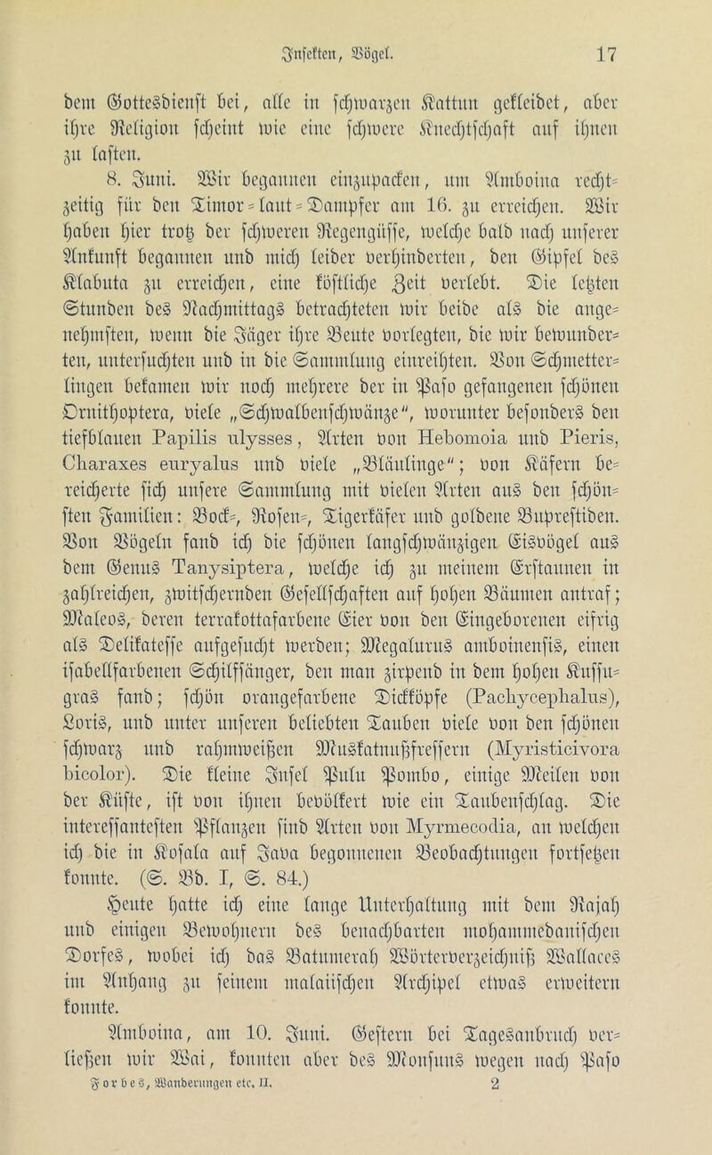 bcnt ©otteSbienft bei, alle in fdjmarjeit Kattun gefleibet, aber ifjrc Religion fdjeiut mie eine fcfjmere ®nedjtfd)aft auf ihnen 31t laften. 8. Suni. SBir begannen eingitpaden, um Slntboina red)P zeitig für beit Sintor * laut * Stampfer am 16. 31t erreichen. SEßir haben fjier tro£ ber ferneren fRegengitffe, meldje halb nach nuferer Slntunft begannen unb mid) leiber nerfjinberteu, ben (Gipfel beS ®labuta 31t erreichen, eine föftlidje 3eit berlebt. Sie lebten ©tunben beS Nachmittags betrachteten mir beibe als bie äuge* nefjntfteu, meitn bie Säger ifjre S3eute üorlegten, bie mir bemunber* ten, uuterfudjteu unb in bie ©amntluitg eiureil)ten. Sou ©djmetter* liitgen belameit mir ltodj mehrere ber in $ßafo gefangenen fdjüneu Drnithoptera, Diele „©djmalbeufdjmänse, morunter befonberS ben tiefblauen Papilis ulysses, Sitten Don Hebomoia unb Pieris, Charaxes enryalus unb Diele „Bläulinge; Don Käfern be= reicherte fidj nufere ©antmlung mit Dielen Strten aus ben fdjön- [ten Familien: 23od', Nofetty Sigertäfer unb golbene SSitpreftiben. SS01t SSögeln fanb id) bie fdjöneit lau gfdj mäßigen Eisnögel aus beut ©emtS Tanysiptera, melcfje id) 31t meinem Gsrftaunen in 3af;lreid;en, gtoitfdfjernben ©efellfdjaften auf hohen Säumen autraf; ÜDtaleoS, bereu terrafottafarbeue Eier Don ben Eingeborenen eifrig als Selifateffe aufgefudjt merbeu; SNegaluruS autboinenfiS, einen ifabetlfarbenen ©djilffänger, ben mau girpenb in bem hohen ®uffu= graS fanb; fdjön orangefarbene Sidföpfe (Pacbycephalus), ßoriS, unb unter unferen beliebten Sauben Diele Don ben fdjöneit fd)loar3 unb rafpnmciftcn SJcuSfatuuftfrcffcru (Myristiciyora bicolor). Sie Heine Sufel $JMu ^ßornbo, einige Sföeilen 0011 ber Äiifte, ift Don ihnen beDölfert mie ein Saitbenfdjlag. Sie intereffanteften Sßflanjen finb Slrtcit Don Myrmecodia, au meldjeit id) bie in ßofala auf Sana begonnenen 33eobadjtuugcu fortfetjeu tonnte. (©. S3b. I, ©. 84.) §eute hotte id) eine lange Unterhaltung mit bem Naja!) unb einigen S3emol)ucru beS benachbarten ntohammebauifdjeu SorfeS, mobei id) baS Saturnera!) 93SörterDer3eid)itif3 SSallaccS im Slnhaug 31t feinem ntalaiifdjen Slrdjipel etmaS ermciteru tonnte. Slmboina, am 10. Sttui. ©efteru bei SageSaitbritd) Der- liefen mir Sßai, tonnten aber beS SJionfuuS megen uad) $|Safo % 0 v ß e 3, SBanbenmgen etc. II. 2