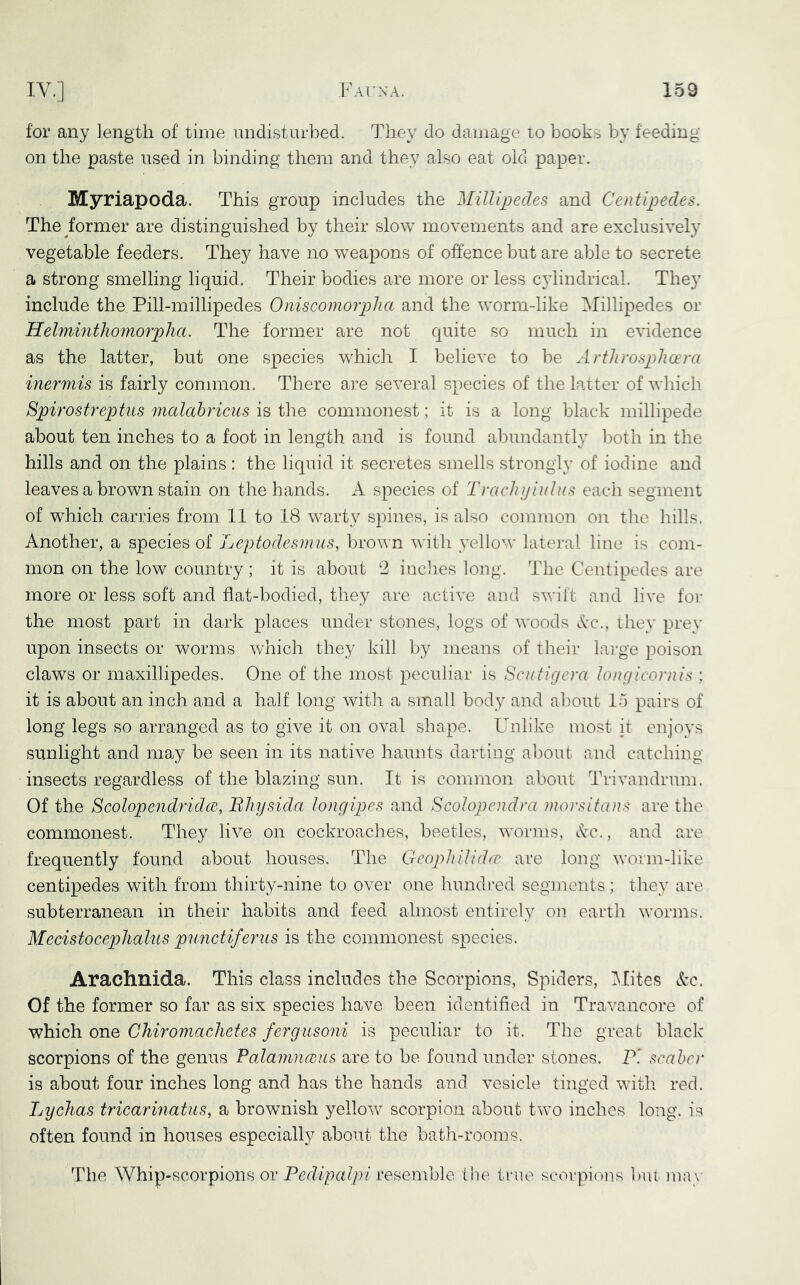 for any length of time undisturbed. They do damage to books by feeding on the paste used in binding them and they also eat old paper. Myriapoda. This group includes the Millipedes and Centipedes. The ^former are distinguished by their slow movements and are exclusively vegetable feeders. They have no weapons of offence but are able to secrete a strong smelling liquid. Their bodies are more or less c^dindrical. They include the Pill-millipedes Oniscomorphct and the worm-like Millipedes or Helminthomorpha. The former are not quite so much in evidence as the latter, but one species which I believe to be Arthrosplioera inermis is fairly common. There are several species of the latter of which Spirostreptiis malahricus is the commonest; it is a long black millipede about ten inches to a foot in length and is found abundantl}^ both in the hills and on the plains: the liquid it secretes smells strongly of iodine and leaves a brown stain on the hands. A species of Traelujiulns each segment of which carries from 11 to 18 warty spines, is also common on the hills. Another, a species of Leptodesmus, brown with yellow lateral line is com- mon on the low country ; it is about ‘2 inches long. The Centipedes are more or less soft and flat-bodied, they are active and swift and live for the most part in dark places under stones, logs of woods Ac., they prey upon insects or worms which the}^ kill by means of their large poison claws or maxillipedes. One of the most peculiar is Scutigera longicornis ; it is about an inch and a hoJf long with a small body and about 15 pairs of long legs so arranged as to give it on oval shape. Unlike most it enjoys sunlight and may be seen in its native haunts darting about and catching- insects regardless of the blazing sun. It is common about Trivandrum. Of the Scolopendridee, Bhysida longipes and Scolopendra niorsitans are the commonest. They live on cockroaches, beetles, worms, Ac., and are frequently found about houses. The Geophilidev are long worm-like centipedes with from thirty-nine to over one hundred segments; they are subterranean in their habits and feed almost entirely on earth worms. Mecistocephalus pimctiferus is the commonest species. Arachnida. This class includes the Scorpions, Spiders, IMites Ac. Of the former so far as six species have been identified in Travancore of which one Chiromachetes fergusoni is peculiar to it. The great black scorpions of the genus Palamimus are to be found under stones. Pi scaher is about four inches long and has the hands and vesicle tinged with. red. Lydias tricarinatus, a brownish yellow scorpion about two inches long, is often found in houses especially about the bath-rooms. The Whip-scorpions or PerPpa//)/resemble the true scoiquluis but ma\