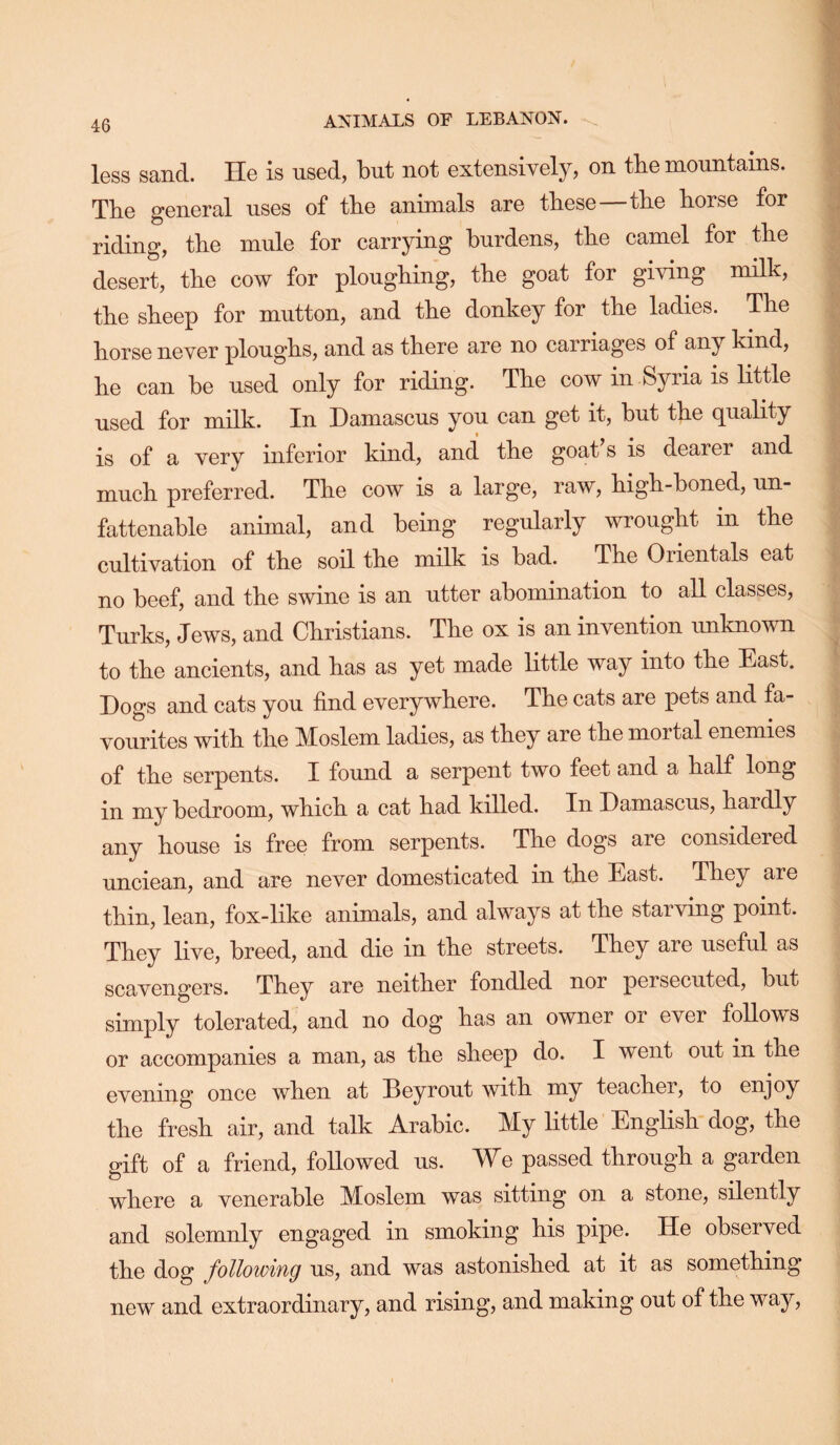 less sand. He is used, but not extensively, on tbe mountains. The general uses of tbe animals are these—tbe horse for riding, the mule for carrying burdens, the camel for the desert, the cow for ploughing, the goat for giving milk, the sheep for mutton, and the donkey for the ladies. The horse never ploughs, and as there are no carriages of any kind, he can be used only for riding. The cow in Syria is little used for milk. In Damascus you can get it, but the quality is of a very inferior kind, and the goat s is dearer and much preferred. The cow is a large, raw, high-boned, un- fattenable animal, and being regularly wrought in the cultivation of the soil the milk is bad. The Orientals eat no beef, and the swine is an utter abomination to all classes, Turks, Jews, and Christians. The ox is an invention unknown to the ancients, and has as yet made little way into the East. Dogs and cats you find everywhere. The cats are pets and fa- vourites with the Moslem ladies, as they are the mortal enemies of the serpents. I found a serpent two feet and a half long in my bedroom, which a cat had killed. In Damascus, hardly any house is free from serpents. The dogs are considered unciean, and are never domesticated in the East. They are thin, lean, fox-like animals, and always at the starving point. They live, breed, and die in the streets. They are useful as scavengers. They are neither fondled nor persecuted, but simply tolerated, and no dog has an owner or ever follows or accompanies a man, as the sheep do. I went out in the evening once when at Beyrout with my teacher, to enjoy the fresh air, and talk Arabic. My little English dog, the gift of a friend, followed us. We passed through a garden where a venerable Moslem was sitting on a stone, silently and solemnly engaged in smoking his pipe. He observed the dog following us, and was astonished at it as something new and extraordinary, and rising, and making out of the way.