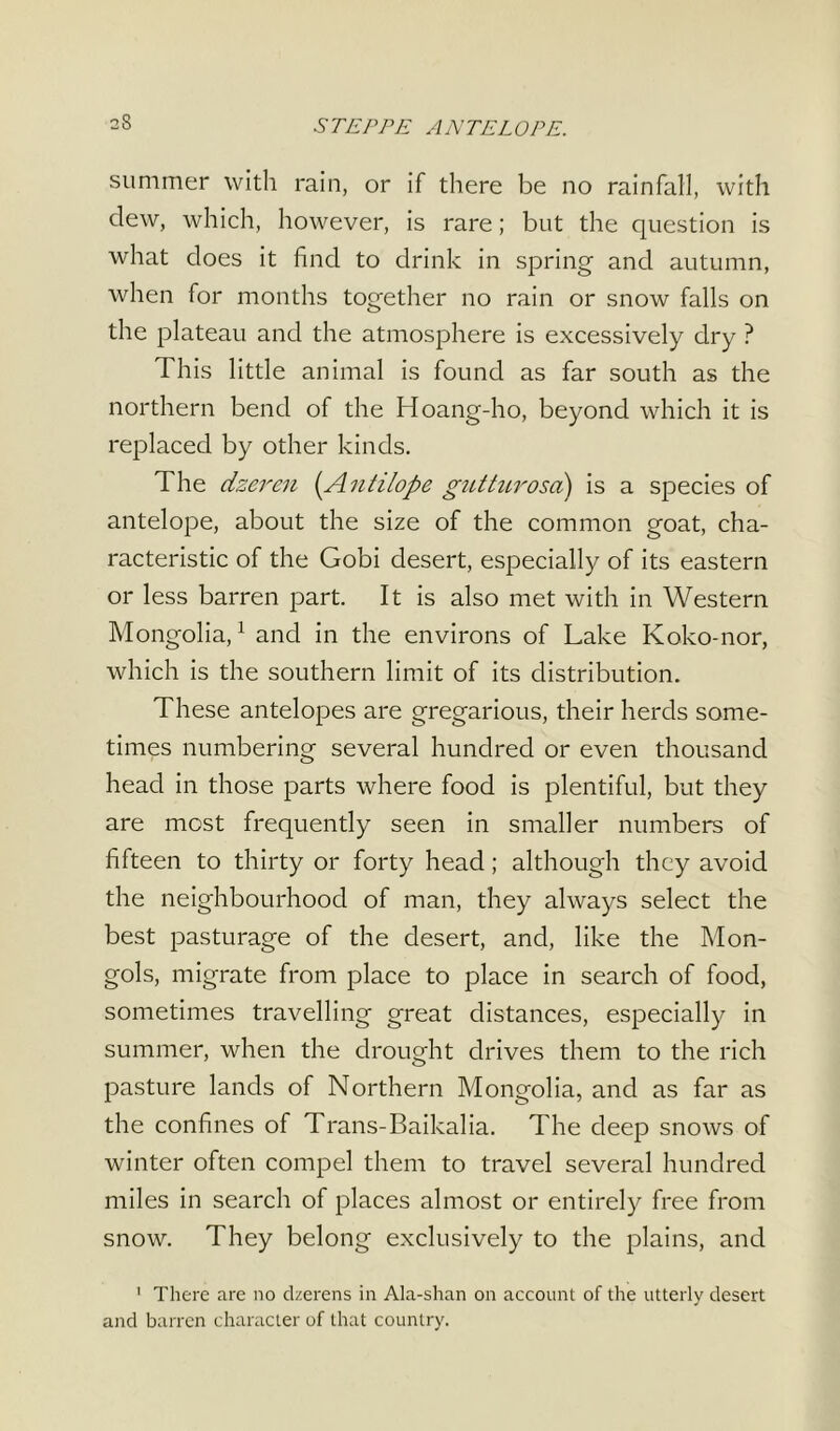 STEPPE ANTELOPE. summer with rain, or if there be no rainfall, with dew, which, however, is rare; but the question is what does it find to drink in spring and autumn, when for months together no rain or snow falls on the plateau and the atmosphere is excessively dry ? This little animal is found as far south as the northern bend of the Hoang-ho, beyond which it is replaced by other kinds. The dzeren (Antilope gutturosa) is a species of antelope, about the size of the common goat, cha- racteristic of the Gobi desert, especially of its eastern or less barren part. It is also met with in Western Mongolia,1 and in the environs of Lake Koko-nor, which is the southern limit of its distribution. These antelopes are gregarious, their herds some- times numbering several hundred or even thousand head in those parts where food is plentiful, but they are most frequently seen in smaller numbers of fifteen to thirty or forty head; although they avoid the neighbourhood of man, they always select the best pasturage of the desert, and, like the Mon- gols, migrate from place to place in search of food, sometimes travelling great distances, especially in summer, when the drought drives them to the rich pasture lands of Northern Mongolia, and as far as the confines of Trans-Baikalia. The deep snows of winter often compel them to travel several hundred miles in search of places almost or entirely free from snow. They belong exclusively to the plains, and 1 There are no dzerens in Ala-shan on account of the utterly desert and barren character of that country.