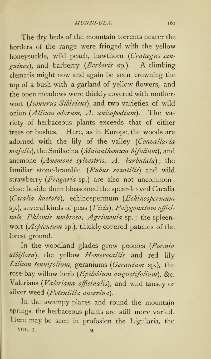 The dry beds of the mountain torrents nearer the borders of the range were fringed with the yellow honeysuckle, wild peach, hawthorn (Crataegus san- guined), and barberry (Berberis sp.). A climbing clematis might now and again be seen crowning the top of a bush with a garland of yellow flowers, and the open meadows were thickly covered with mother- wort (Iconurus Sibiricus), and two varieties of wild onion (Allium odorum, A. anisopodium). The va- riety of herbaceous plants exceeds that of either trees or bushes. Here, as in Europe, the woods are adorned with the lily of the valley (Convallaria majalis), the Smilacina (Ma iant hem uni bifolium), and anemone (Anemone sylvestris, A. barbulata); the familiar stone-bramble (Rubus saxatilis) and wild strawberry (Fragaria sp.) are also not uncommon ; close beside them blossomed the spear-leaved Cacalia (Cacalia hastatd), echinospermum {Echinos per mum sp.), several kinds of peas (Vicia), Polygonatum offici- nale, Phlomis umbrosa, Agrimonia sp. ; the spleen- wort (Asplenium sp.), thickly covered patches of the forest ground. In the woodland glades grow peonies (Pceonia albiflora), the yellow Hcmerocallis and red lily Liliitm tenuifolium, geraniums (Geranium sp.), the rose-bay willow herb (Epilobuim angustifolium), &c. Valerians (Valeriana officinalis'), and wild tansey or silver weed (Potentilla anserina). In the swampy places and round the mountain springs, the herbaceous plants are still more varied. Here may be seen in profusion the Ligularia, the VOL. i. M