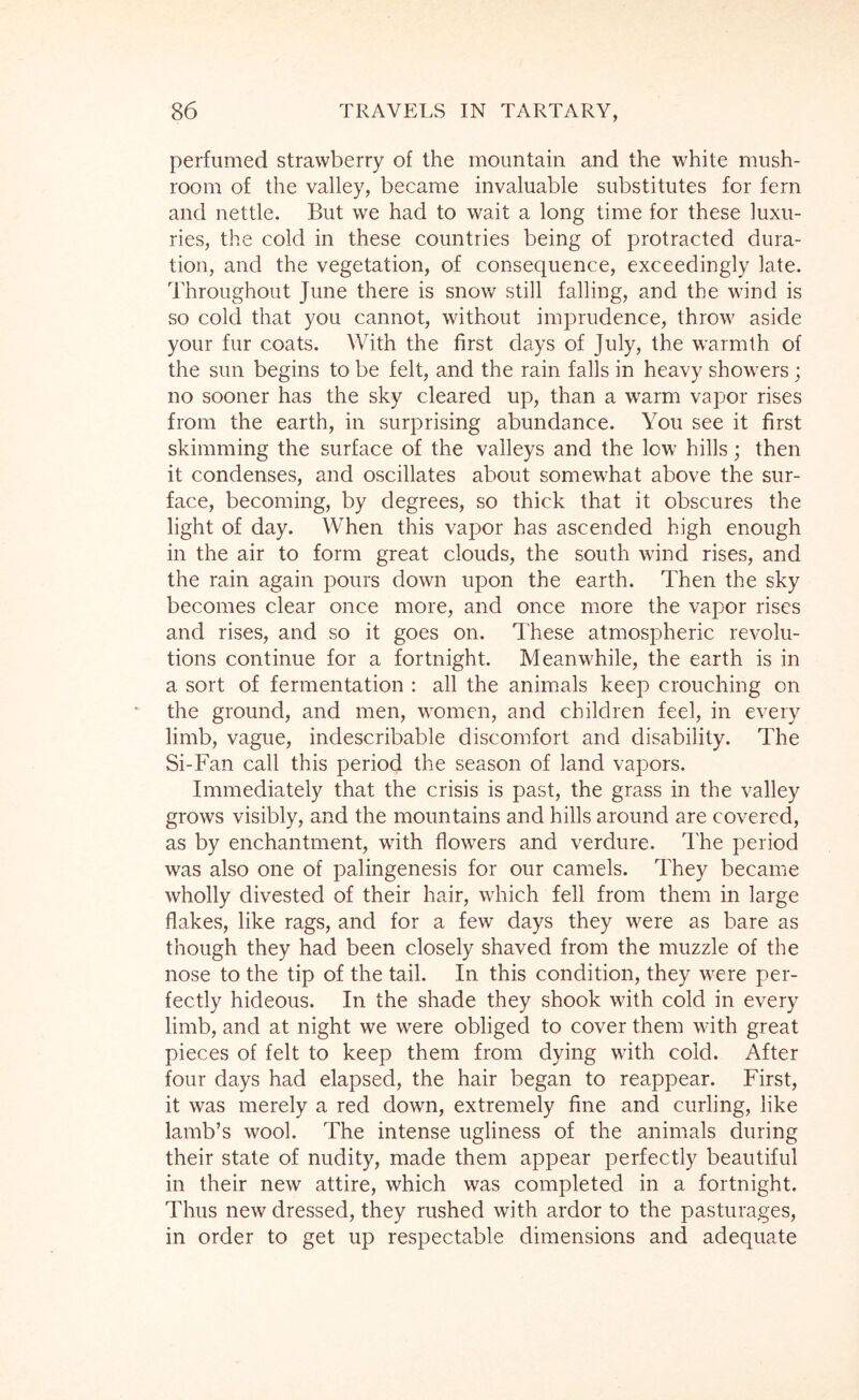 perfumed strawberry of the mountain and the white mush- room of the valley, became invaluable substitutes for fern and nettle. But we had to wait a long time for these luxu- ries, the cold in these countries being of protracted dura- tion, and the vegetation, of consequence, exceedingly late. Throughout June there is snov/ still falling, and the wind is so cold that you cannot, without imprudence, throw aside your fur coats. With the first days of July, the warmth of the sun begins to be felt, and the rain falls in heavy showers; no sooner has the sky cleared up, than a warm vapor rises from the earth, in surprising abundance. You see it first skimming the surface of the valleys and the low hills; then it condenses, and oscillates about somewhat above the sur- face, becoming, by degrees, so thick that it obscures the light of day. When this vapor has ascended high enough in the air to form great clouds, the south wind rises, and the rain again pours down upon the earth. Then the sky becomes clear once more, and once more the vapor rises and rises, and so it goes on. These atmospheric revolu- tions continue for a fortnight. Meanwhile, the earth is in a sort of fermentation : all the anim.als keep crouching on the ground, and men, M'omcn, and children feel, in every limb, vague, indescribable discomfort and disability. The Si-Fan call this period the season of land vapors. Immediately that the crisis is past, the grass in the valley grows visibly, and the mountains and hills around are covered, as by enchantment, with flowers and verdure. The period was also one of palingenesis for our camels. They became wholly divested of their hair, which fell from them in large flakes, like rags, and for a few days they were as bare as though they had been closely shaved from the muzzle of the nose to the tip of the tail. In this condition, they were per- fectly hideous. In the shade they shook with cold in every limb, and at night we were obliged to cover them with great pieces of felt to keep them from dying with cold. After four days had elapsed, the hair began to reappear. First, it was merely a red down, extremely fine and curling, like lamb’s wool. The intense ugliness of the animals during their state of nudity, made them appear perfectly beautiful in their new attire, which was completed in a fortnight. Thus new dressed, they rushed with ardor to the pasturages, in order to get up respectable dimensions and adequate