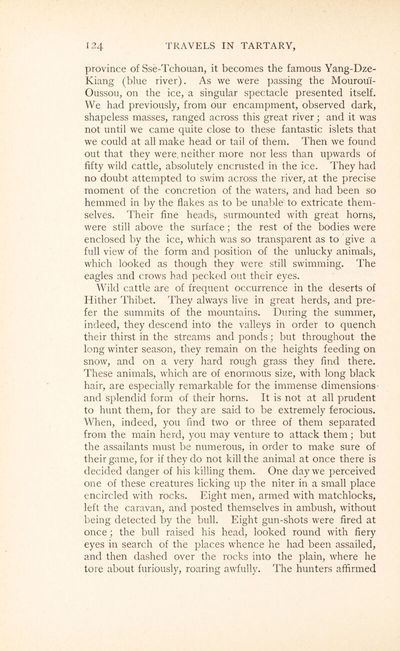 province of Sse-Tchouan, it becomes the famous Yang-Dze- Kiang (blue river). As we were passing the Mouroui- Oussou, on the ice, a singular spectacle presented itself. We had previously, from our encampment, observed dark, shapeless masses, ranged across this great river; and it was not until we came quite close to these fantastic islets that we could at all make head or tail of them. Then we found out that they were, neither more nor less than upwards of fifty wild cattle, absolutely encrusted in the ice. They had no doubt attempted to swim across the river, at the precise moment of the concretion of the waters, and had been so hemmed in by the flakes as to be unable to extricate them- selves. Their fine heads, surmounted with great horns, were still above the surface; the rest of the bodies were enclosed by the ice, which was so transparent as to give a full view of the form and position of the unlucky animals, which looked as though they were still swimming. The eagles and crows had pecked out their eyes. Wild cattle are of frequent occurrence in the deserts of Hither Thibet. They always live in great herds, and pre- fer the summits of the mountains. During the summer, indeed, they descend into the valleys in order to quench their thirst in the streams and ponds; but throughout the long winter season, they remain on the heights feeding on snow, and on a very hard rough grass they find there. These animals, which are of enormous size, with long black hair, are especially remarkable for the immense dimensions- and splendid form of their horns. It is not at all prudent to hunt them, for they are said to be extremely ferocious. When, indeed, you find two or three of them separated from the main herd, you may venture to attack them; but the assailants must be numerous, in order to make sure of their game, for if they do not kill the animal at once there is decided danger of his killing them. One day we perceived one of these creatures licking up the niter in a small place encircled with rocks. Eight men, armed with matchlocks, left the caravan, and posted themselves in ambush, without being detected by the bull. Eight gun-shots were fired at once; the bull raised his head, looked round with fiery eyes in search of the places whence he had been assailed, and then dashed over the rocks into the plain, where he tore about furiously, roaring awfully. The hunters affirmed