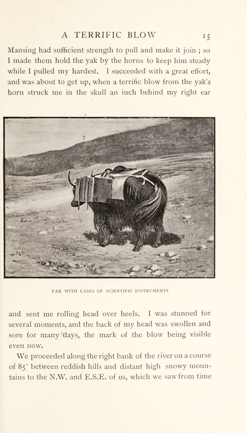 A TERRIFIC BLOW J5 Mansing had sufficient strength to pull and make it join ; so I made them hold the yak by the horns to keep him steady while I pulled my hardest. I succeeded with a great effort, and was about to get up, when a terrific blow from the yak's horn struck me in the skull an inch behind my right ear YAK WITH CASES OF SCIENTIFIC INSTRUMENTS and sent me rolling head over heels. I was stunned for several moments, and the back of my head was swollen and sore for many days, the mark of the blow being visible even now. We proceeded along the right bank of the river on a course of 85° between reddish hills and distant high snowy moun- tains to the N.W. and E.S.E. of us, which we saw from time