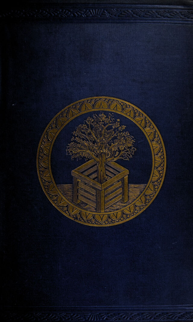 No text description is available for this image