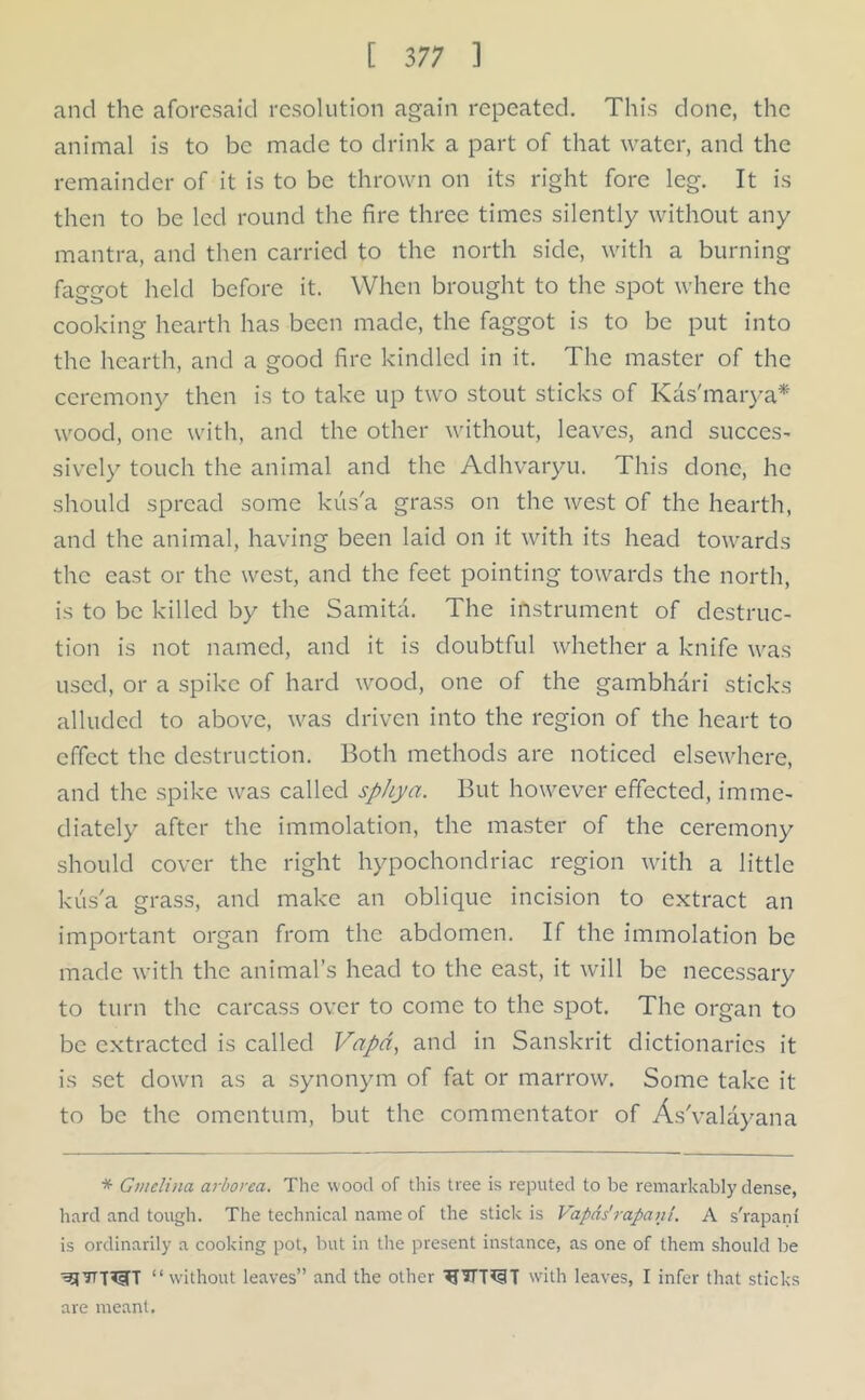 and the aforesaid resolution again repeated. This done, the animal is to be made to drink a part of that water, and the remainder of it is to be thrown on its right fore leg. It is then to be led round the fire three times silently without any mantra, and then carried to the north side, with a burning faggot held before it. When brought to the spot where the cooking hearth has been made, the faggot is to be put into the hearth, and a good fire kindled in it. The master of the ceremony then is to take up two stout sticks of Kds'marya* wood, one with, and the other without, leaves, and succes- sively touch the animal and the Adhvaryu. This done, he should spread some kus'a grass on the west of the hearth, and the animal, having been laid on it with its head towards the cast or the west, and the feet pointing towards the north, is to be killed by the Samita. The instrument of destruc- tion is not named, and it is doubtful whether a knife was used, or a spike of hard wood, one of the gambhari sticks alluded to above, was driven into the region of the heart to effect the destruction. Both methods are noticed elsewhere, and the spike was called sphya. But however effected, imme- diately after the immolation, the master of the ceremony should cover the right hypochondriac region with a little kus'a grass, and make an oblique incision to extract an important organ from the abdomen. If the immolation be made with the animal’s head to the east, it will be necessary to turn the carcass over to come to the spot. The organ to be extracted is called Vapd, and in Sanskrit dictionaries it is set down as a synonym of fat or marrow. Some take it to be the omentum, but the commentator of As'valayana * Gmelina arborca. The wood of this tree is reputed to be remarkably dense, hard and tough. The technical name of the stick is Vapds'rapanl. A s'rapani is ordinarily a cooking pot, but in the present instance, as one of them should be “ without leaves” and the other with leaves, I infer that sticks are meant.