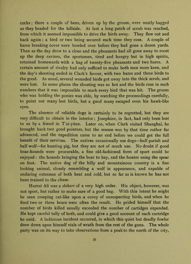 cocks ; there a couple of hens, driven up by the groom, were neatly bagged as they headed for the hillside. At last a long patch of scrub was reached, from which it seemed impossible to drive the birds away. They flew out and back again ; a bird or two being secured each time they rose. A couple of hares breaking cover were bowled over before they had gone a dozen yards. Then as the day drew to a close and the pheasants had all gone away to roost up the deep ravines, the sportsmen, tired and hungry but in high spirits, returned homewards with a bag of twenty-five pheasants and two hares. A certain amount of rivalry had only sufficed to make both men more keen, and the day’s shooting ended in Clark’s favour, with two hares and three birds to the good. As usual, several wounded birds got away into the thick scrub, and were lost. In some places the shooting was so hot and the birds rose in such numbers that it was impossible to mark every bird that was hit. The groom who was holding the ponies was able, by watching the proceeedings carefully, to point out many lost birds, but a good many escaped even his hawk-like eyes. The absence of reliable dogs is certainly to be regretted, but they are very difficult to obtain in the interior; Josephine, in fact, had only been lent to us by a friend in T’ai-ytian. Later on, when Clark visited Shanghai, he brought back two good pointers, but the season was by that time rather far advanced, and the expedition came to an end before we could get the full benefit of their services. The natives occasionally use dogs—half pariah and half wolf—for hunting pig, but they are not of much use. No doubt if good boar-hounds were procurable, a fine old-fashioned form of sport could be enjoyed : the hounds bringing the boar to bay, and the hunter using the spear on foot. The native dog of the hilly and mountainous country is a fine looking animal, closely resembling a wolf in appearance, and capable of enduring extremes of both heat and cold, but so far as is known he has not been trained to the chase. Hazrat Ali was a shikari of a very high order. His object, however, was not sport, but rather to make sure of a good bag. With this intent he might be seen creeping cat-like upon a covey of unsuspecting birds, and when he fired two or three brace were often the result. He prided himself that the number of birds killed usually exceeded the number of cartidges expended. He kept careful tally of both, and could give a good account of each cartridge he used. A ludicrous incident occurred, in which this quiet but deadly fowler drew down upon himself vials of wrath from the rest of the guns. The whole party was on its way to take observations from a peak to the north of the city,