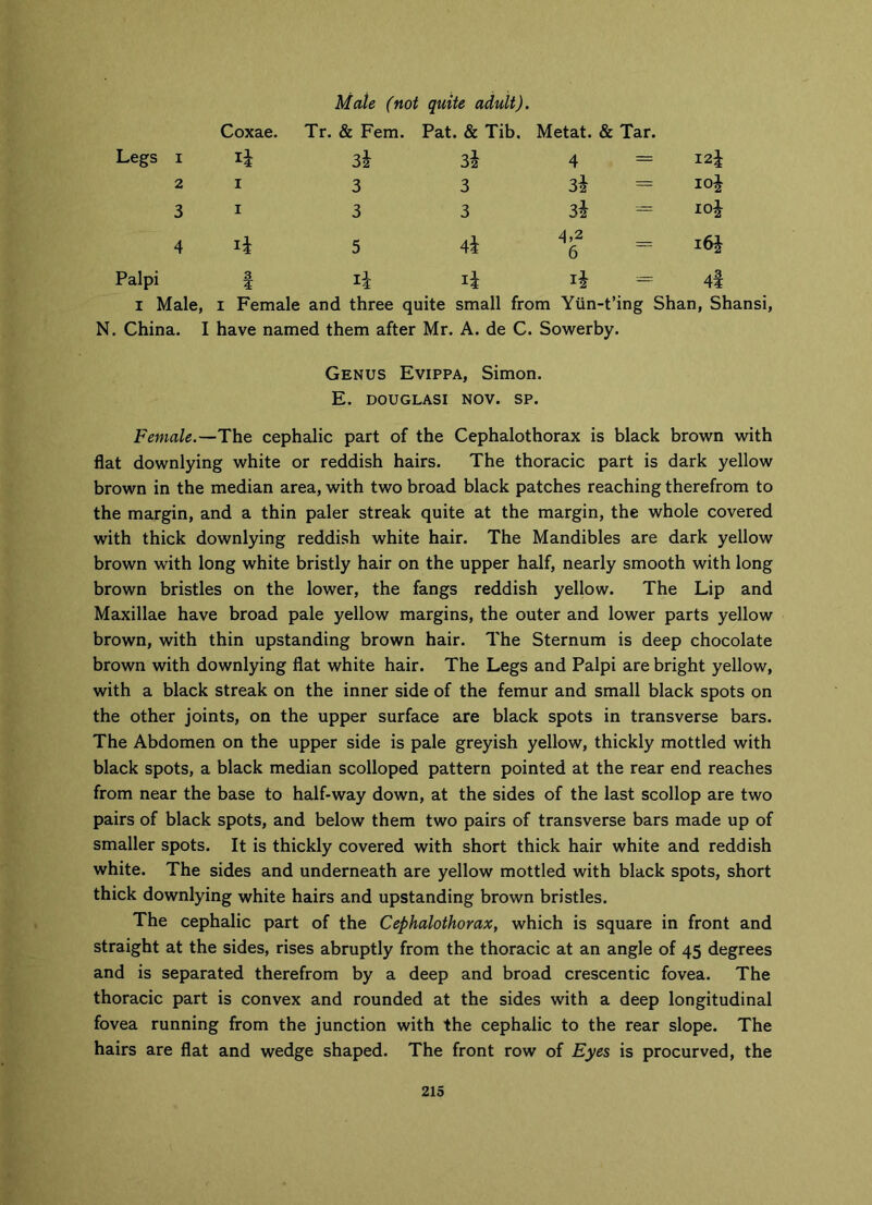 Male (not quite adult). Coxae. Tr. & Fern. Pat. & Tib. Metat. & Tar. Legs 1 32 32 4 = I2i 2 1 3 3 3* = io£ 3 1 3 3 3i = 4 5 4i 4,2 6 i6i Palpi f T-l = 4I i Male, i Female and three quite small from Yiin-t’ing Shan, Shansi, N. China. I have named them after Mr. A. de C. Sowerby. Genus Evippa, Simon. E. DOUGLASI NOV. SP. Female.—The cephalic part of the Cephalothorax is black brown with flat downlying white or reddish hairs. The thoracic part is dark yellow brown in the median area, with two broad black patches reaching therefrom to the margin, and a thin paler streak quite at the margin, the whole covered with thick downlying reddish white hair. The Mandibles are dark yellow brown with long white bristly hair on the upper half, nearly smooth with long brown bristles on the lower, the fangs reddish yellow. The Lip and Maxillae have broad pale yellow margins, the outer and lower parts yellow brown, with thin upstanding brown hair. The Sternum is deep chocolate brown with downlying flat white hair. The Legs and Palpi are bright yellow, with a black streak on the inner side of the femur and small black spots on the other joints, on the upper surface are black spots in transverse bars. The Abdomen on the upper side is pale greyish yellow, thickly mottled with black spots, a black median scolloped pattern pointed at the rear end reaches from near the base to half-way down, at the sides of the last scollop are two pairs of black spots, and below them two pairs of transverse bars made up of smaller spots. It is thickly covered with short thick hair white and reddish white. The sides and underneath are yellow mottled with black spots, short thick downlying white hairs and upstanding brown bristles. The cephalic part of the Cephalothorax, which is square in front and straight at the sides, rises abruptly from the thoracic at an angle of 45 degrees and is separated therefrom by a deep and broad crescentic fovea. The thoracic part is convex and rounded at the sides with a deep longitudinal fovea running from the junction with the cephalic to the rear slope. The hairs are flat and wedge shaped. The front row of Eyes is procurved, the