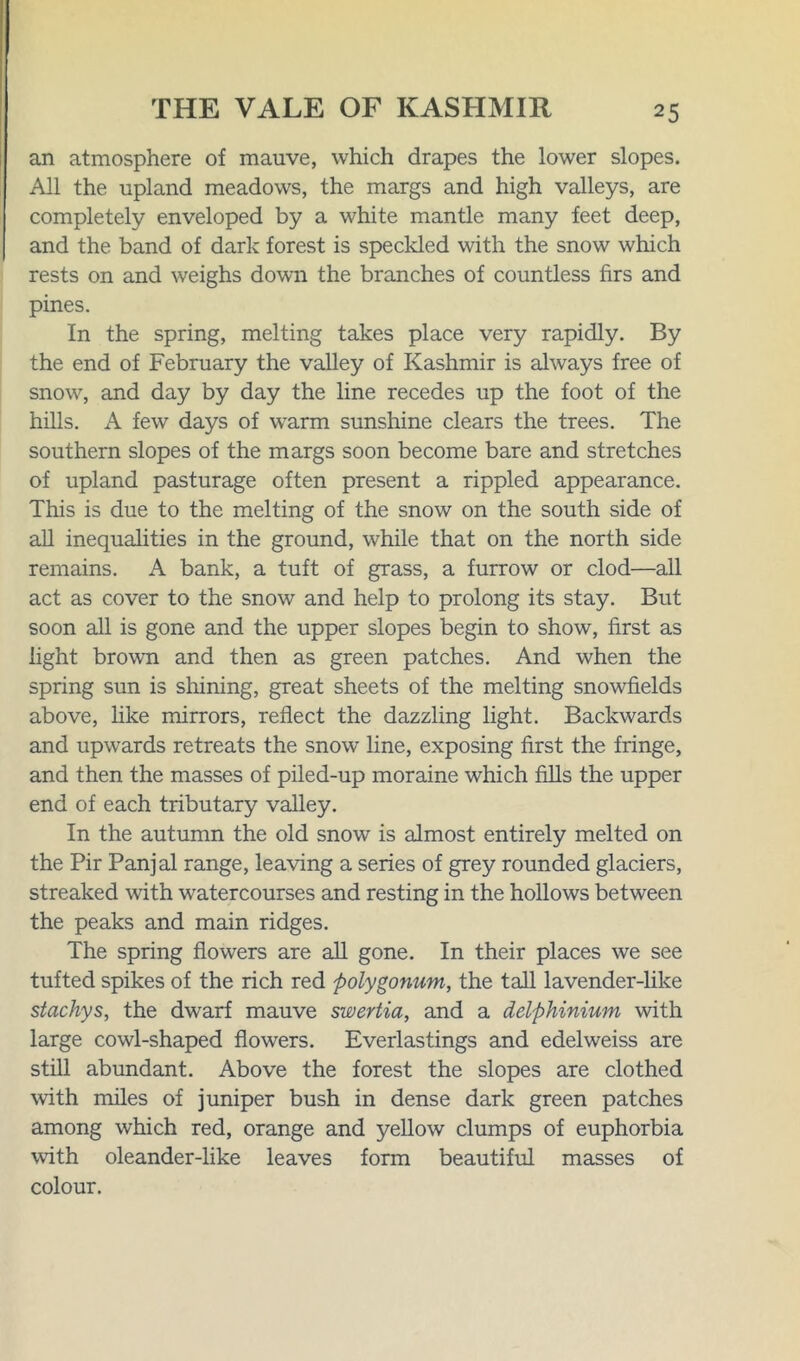 an atmosphere of mauve, which drapes the lower slopes. All the upland meadows, the margs and high valleys, are completely enveloped by a white mantle many feet deep, and the band of dark forest is speckled with the snow which rests on and weighs down the branches of countless firs and pines. In the spring, melting takes place very rapidly. By the end of February the valley of Kashmir is always free of snow, and day by day the line recedes up the foot of the hills. A few days of warm sunshine clears the trees. The southern slopes of the margs soon become bare and stretches of upland pasturage often present a rippled appearance. This is due to the melting of the snow on the south side of all inequalities in the ground, while that on the north side remains. A bank, a tuft of grass, a furrow or clod—all act as cover to the snow and help to prolong its stay. But soon all is gone and the upper slopes begin to show, first as light brown and then as green patches. And when the spring sun is shining, great sheets of the melting snowfields above, like mirrors, reflect the dazzling light. Backwards and upwards retreats the snow line, exposing first the fringe, and then the masses of piled-up moraine which fills the upper end of each tributary valley. In the autumn the old snow is almost entirely melted on the Pir Panjal range, leaving a series of grey rounded glaciers, streaked with watercourses and resting in the hollows between the peaks and main ridges. The spring flowers are all gone. In their places we see tufted spikes of the rich red polygonum, the tall lavender-like stachys, the dwarf mauve swertia, and a delphinium with large cowl-shaped flowers. Everlastings and edelweiss are still abundant. Above the forest the slopes are clothed with miles of juniper bush in dense dark green patches among which red, orange and yellow clumps of euphorbia with oleander-like leaves form beautiful masses of colour.