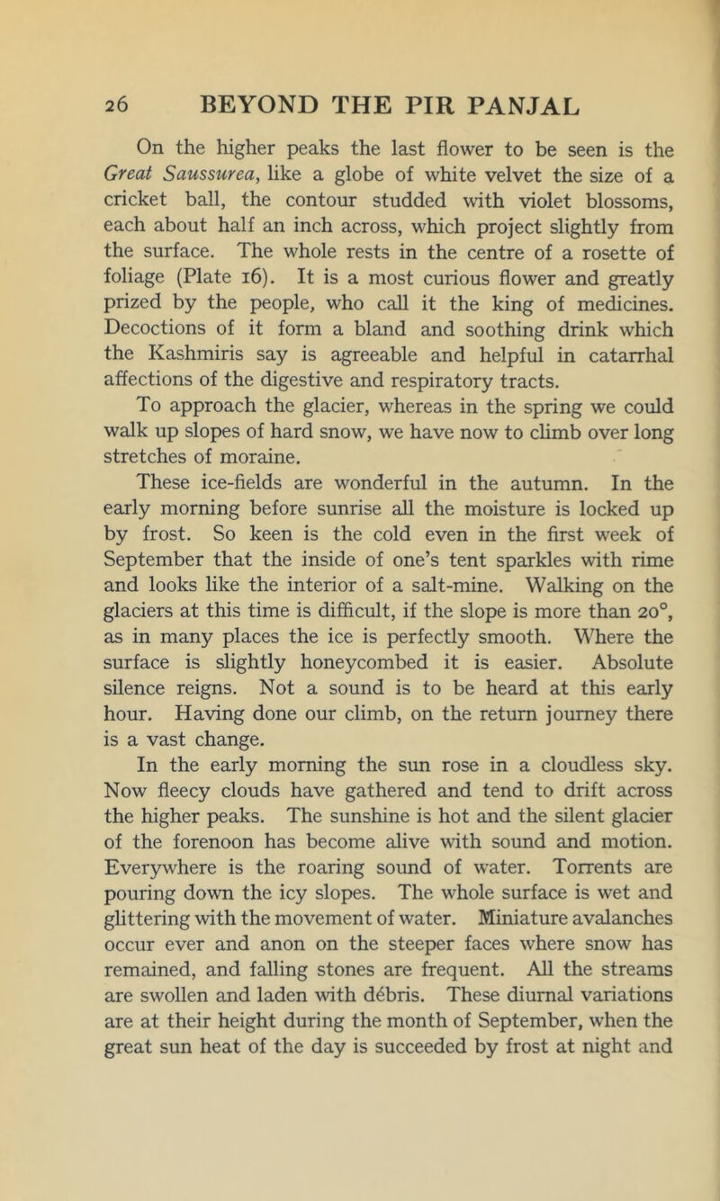 On the higher peaks the last flower to be seen is the Great Saussurea, like a globe of white velvet the size of a cricket ball, the contour studded with violet blossoms, each about half an inch across, which project slightly from the surface. The whole rests in the centre of a rosette of foliage (Plate 16). It is a most curious flower and greatly prized by the people, who call it the king of medicines. Decoctions of it form a bland and soothing drink which the Kashmiris say is agreeable and helpful in catarrhal affections of the digestive and respiratory tracts. To approach the glacier, whereas in the spring we could walk up slopes of hard snow, we have now to climb over long stretches of moraine. These ice-fields are wonderful in the autumn. In the early morning before sunrise all the moisture is locked up by frost. So keen is the cold even in the first week of September that the inside of one’s tent sparkles with rime and looks like the interior of a salt-mine. Walking on the glaciers at this time is difficult, if the slope is more than 20°, as in many places the ice is perfectly smooth. Where the surface is slightly honeycombed it is easier. Absolute silence reigns. Not a sound is to be heard at this early hour. Having done our climb, on the return journey there is a vast change. In the early morning the sun rose in a cloudless sky. Now fleecy clouds have gathered and tend to drift across the higher peaks. The sunshine is hot and the silent glacier of the forenoon has become alive with sound and motion. Everywhere is the roaring sound of water. Torrents are pouring down the icy slopes. The whole surface is wet and glittering with the movement of water. Miniature avalanches occur ever and anon on the steeper faces where snow has remained, and falling stones are frequent. All the streams are swollen and laden with debris. These diurnal variations are at their height during the month of September, when the great sun heat of the day is succeeded by frost at night and