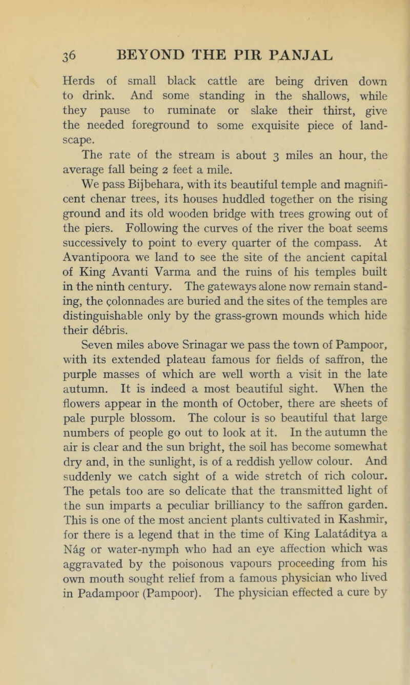 Herds of small black cattle are being driven down to drink. And some standing in the shallows, while they pause to ruminate or slake their thirst, give the needed foreground to some exquisite piece of land- scape. The rate of the stream is about 3 miles an hour, the average fall being 2 feet a mile. We pass Bijbehara, with its beautiful temple and magnifi- cent chenar trees, its houses huddled together on the rising ground and its old wooden bridge with trees growing out of the piers. Following the curves of the river the boat seems successively to point to every quarter of the compass. At Avantipoora we land to see the site of the ancient capital of King Avanti Varma and the ruins of his temples built in the ninth century. The gateways alone now remain stand- ing, the colonnades are buried and the sites of the temples are distinguishable only by the grass-grown mounds which hide their debris. Seven miles above Srinagar we pass the town of Pampoor, with its extended plateau famous for fields of saffron, the purple masses of which are well worth a visit in the late autumn. It is indeed a most beautiful sight. When the flowers appear in the month of October, there are sheets of pale purple blossom. The colour is so beautiful that large numbers of people go out to look at it. In the autumn the air is clear and the sun bright, the soil has become somewhat dry and, in the sunlight, is of a reddish yellow colour. And suddenly we catch sight of a wide stretch of rich colour. The petals too are so delicate that the transmitted light of the sun imparts a peculiar brilliancy to the saffron garden. This is one of the most ancient plants cultivated in Kashmir, for there is a legend that in the time of King Lalataditya a Nag or water-nymph who had an eye affection which was aggravated by the poisonous vapours proceeding from his own mouth sought relief from a famous physician who lived in Padampoor (Pampoor). The physician effected a cure by