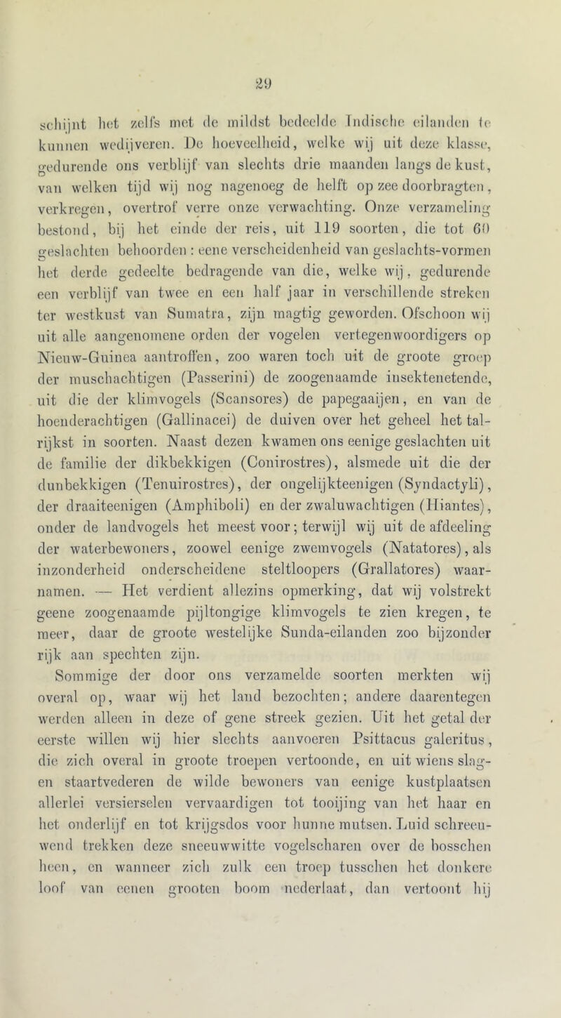 schijnt het zelfs met cle mildst bedeelde Indische eilanden Ie kunnen wedijveren. Do hoeveelheid, welke wij uit deze klasse, gedurende ons verblijf van slechts drie maanden langs de kust, van welken tijd wij nog nagenoeg de helft op zee doorbragten, verkregen, overtrof verre onze verwachting. Onze verzameling bestond, bij het einde der reis, uit 119 soorten, die tot 69 geslachten behoorden : ecne verscheidenheid van geslachts-vormen het derde gedeelte bedragende van die, welke wij, gedurende een verblijf van twee en een half jaar in verschillende streken ter westkust van Sumatra, zijn magtig geworden. Ofschoon wij uit alle aangenomene orden der vogelen vertegenwoordigers op Niemv-Guinea aantroffen, zoo waren toch uit de groote groep der muschachtigen (Passerini) de zoogenaamde insektenetende, uit die der klimvogels (Scansores) de papegaaijen, en van de hoenderachtigen (Gallinacei) de duiven over het geheel het tal- rijkst in soorten. Naast dezen kwamen ons eenige geslachten uit de familie der dikbekkigen (Conirostres), alsmede uit die der dunbekkigen (Tenuirostres), der ongelijkteenigen (Syndactyli), der draaiteenigen (Amphiboli) en der zwaluwachtigen (Hiantes), onder de landvogels het meest voor; terwijl wij uit de afdeeling der waterbewoners, zoowel eenige zwemvogels (Natatores), als inzonderheid onderscheidene steltloopers (Grallatores) waar- namen. — Het verdient allezins opmerking, dat wij volstrekt geene zoogenaamde pijltongige klimvogels te zien kregen, te meer, daar de groote westelijke Sunda-eilanden zoo bijzonder rijk aan spechten zijn. Sommige der door ons verzamelde soorten merkten wij overal op, waar wij het land bezochten; andere daarentegen werden alleen in deze of gene streek gezien. Uit het getal der eerste willen wij hier slechts aanvoeren Psittacus galeritus, die zich overal in groote troepen vertoonde, en uit wiens slag- en staartvederen de wilde bewroners van eenige kustplaatsen allerlei versierselen vervaardigen tot tooijing van het haar en het onderlijf en tot krijgsdos voor hunne mutsen. Luid schreeu- wend trekken deze sneeuwwitte vogelscharen over de bosschen heen, en wanneer zich zulk een troep tusschen het donkere loof van oenen grooten boom nederlaat, dan vertoont hij