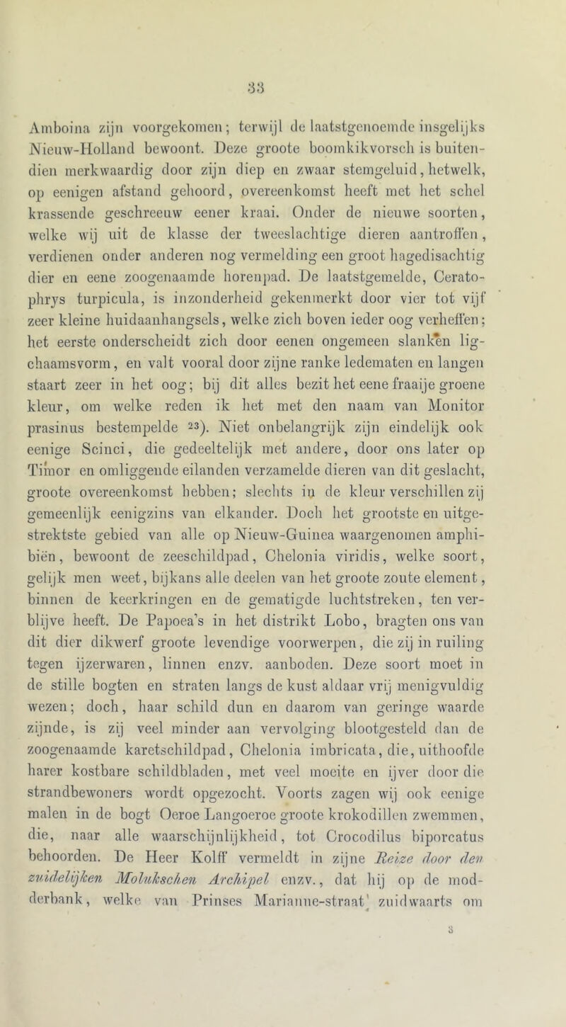Amboina zijn voorgekomen; terwijl de laatstgenoemde insgelijks Nieuw-Holland bewoont. Deze groote boomkikvorsch is buiten- dien merkwaardig door zijn diep en zwaar stemgeluid, hetwelk, op eenigen afstand gehoord, overeenkomst heeft met het schel krassende geschreeuw eener kraai. Onder de nieuwe soorten, welke wij uit de klasse der tweeslachtige dieren aantroffen, verdienen onder anderen nog vermelding een groot hagedisachtig dier en eene zoogenaamde horenpad. De laatstgemelde, Cerato- phrys turpicula, is inzonderheid gekenmerkt door vier tot vijf zeer kleine huidaanhangsels, welke zich boven ieder oog verheffen; het eerste onderscheidt zich door eenen ongemeen slanken lig- chaamsvorm, en valt vooral door zijne ranke ledematen en langen staart zeer in het oog; bij dit alles bezit het eene fraaije groene kleur, om welke reden ik het met den naam van Monitor prasinus bestempelde 23). Niet onbelangrijk zijn eindelijk ook eenige Scinci, die gedeeltelijk met andere, door ons later op Timor en omliggende eilanden verzamelde dieren van dit geslacht, groote overeenkomst hebben; slechts in de kleur verschillen zij gemeenlijk eenigzins van elkander. Docli het grootste en uitge- strektste gebied van alle op Nieuw-Guinea waargenomen amphi- biën , bewoont de zeeschildpad, Chelonia viridis, welke soort, gelijk men weet, bijkans alle deelen van het groote zoute element, binnen de keerkringen en de gematigde luchtstreken, ten ver- blijve heeft. De Papoea’s in het distrikt Lobo, bragten ons van dit dier dikwerf groote levendige voorwerpen, die zij in ruiling tegen ijzerwaren, linnen enzv. aanboden. Deze soort moet in de stille bogten en straten langs de kust aldaar vrij menigvuldig wezen; doch, haar schild dun en daarom van geringe waarde zijnde, is zij veel minder aan vervolging blootgesteld dan de zoogenaamde karetschildpad, Chelonia imbricata, die, uithoofde harer kostbare schildbladen, met veel moeite en ijver door die strandbewoners wordt opgezocht. Voorts zagen wij ook eenige malen inde bogt Oeroe Langoeroe groote krokodillen zwemmen, die, naar alle waarschijnlijkheid, tot Crocodilus biporcatus behoorden. De Heer Kolf!’ vermeldt in zijne Reize door den zuidelijken Molukse/,en Archipel enzv., dat hij op de mod- derbank, welke van Prinses Marianne-straat' zuidwaarts om * 3