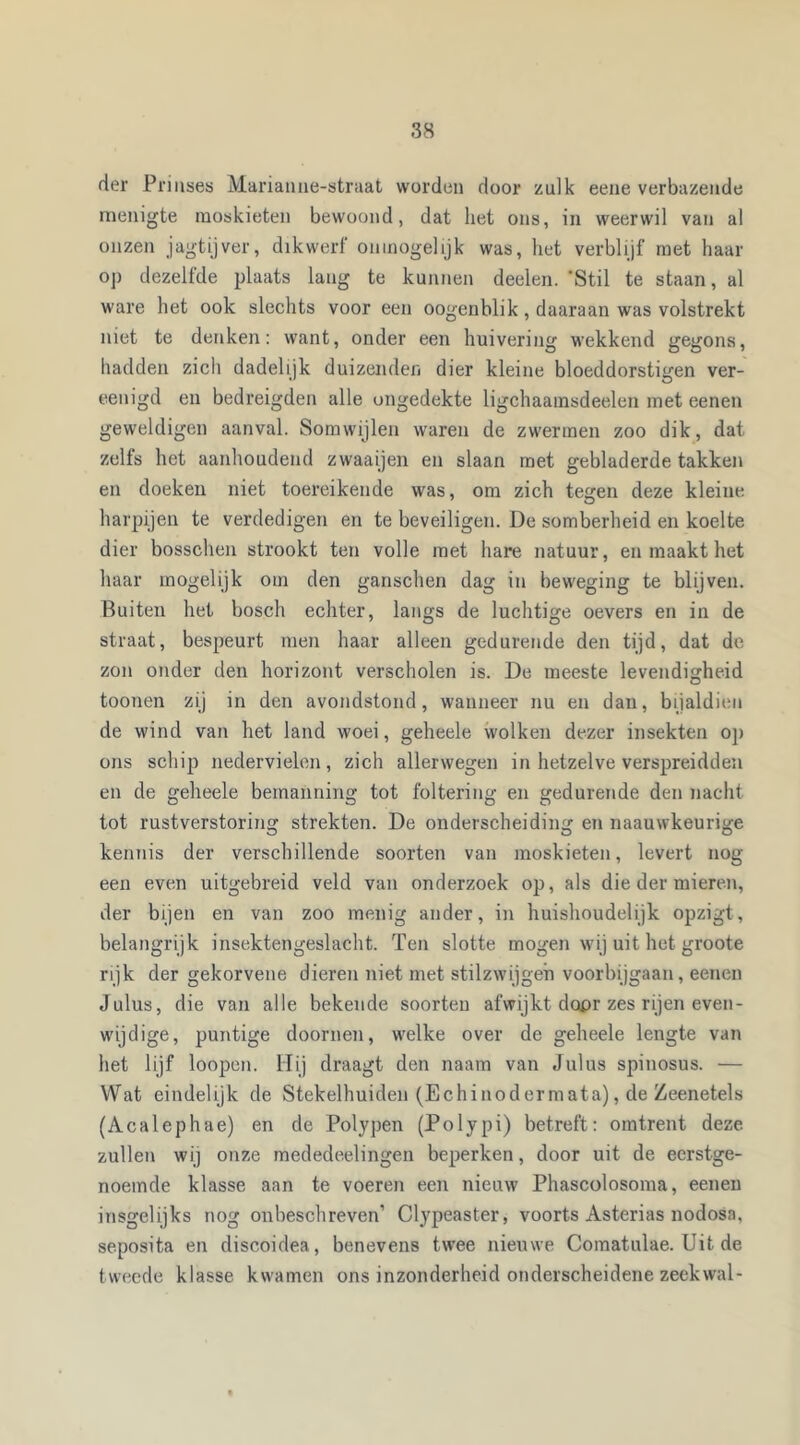 der Prinses Marianue-straat worden door zulk eene verbazende menigte moskieten bewoond, dat liet ons, in weerwil van al onzen jagtijver, dikwerf ónmogelijk was, het verblijf met haar op dezelfde plaats lang te kunnen deelen. 'Stil te staan, al ware het ook slechts voor een oogenblik, daaraan was volstrekt niet te denken: want, onder een huivering wekkend gegons, hadden zich dadelijk duizenden dier kleine bloeddorstigen ver- eenigd en bedreigden alle ongedekte ligchaamsdeelen met eenen geweldigen aanval. Somwijlen waren de zwermen zoo dik, dat zelfs het aanhoudend zwaaijen en slaan met gebladerde takken en doeken niet toereikende was, om zich tegen deze kleine harpijen te verdedigen en te beveiligen. De somberheid en koelte dier bosschen strookt ten volle met hare natuur, en maakt het haar mogelijk om den ganschen dag in beweging te blijven. Buiten het bosch echter, langs de luchtige oevers en in de straat, bespeurt men haar alleen gedurende den tijd, dat de zon onder den horizont verscholen is. De meeste levendigheid toonen zij in den avondstond, wanneer nu en dan, bijaldien de wind van het land woei, geheele wolken dezer insekten op ons schip nedervielen, zich allerwegen in hetzelve verspreidden en de geheele bemanning tot foltering en gedurende den nacht tot rustverstoring strekten. De onderscheiding en naauwkeurige kennis der verschillende soorten van moskieten, levert nog een even uitgebreid veld van onderzoek op, als die der mieren, der bijen en van zoo menig ander, in huishoudelijk opzigt, belangrijk insektengeslacht. Ten slotte mogen wij uit het groote rijk der gekorvene dieren niet met stilzwijgen voorbijgaan, eenen Julus, die van alle bekende soorten afwijkt dopr zes rijen even- wijdige, puntige doornen, welke over de geheele lengte van het lijf loopen. 1Tij draagt den naam van Julus spinosus. — Wat eindelijk de Stekelhuiden (Echinodermata), de Zeenetels (Acalephae) en de Polypen (Polypi) betreft: omtrent deze. zullen wij onze mededeelingen beperken, door uit de eerstge- noemde klasse aan te voeren een nieuw Phascolosoma, eenen insgelijks nog onbeschreven’ Ctypeaster, voorts Asterias nodosa, seposita en discoidea, benevens twee nieuwe Comatulae. Uit de tweede klasse kwamen ons inzonderheid onderscheidene zeekwal-
